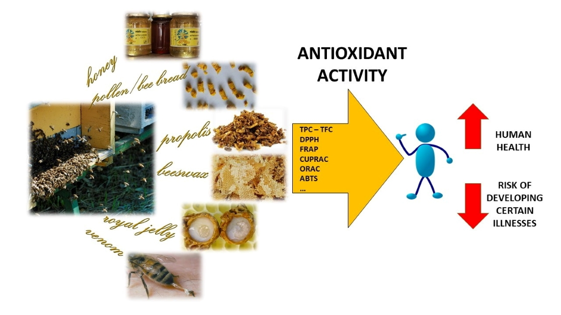 Antioxidants | Free Full-Text | Antioxidant Activity in Bee Products: A  Review