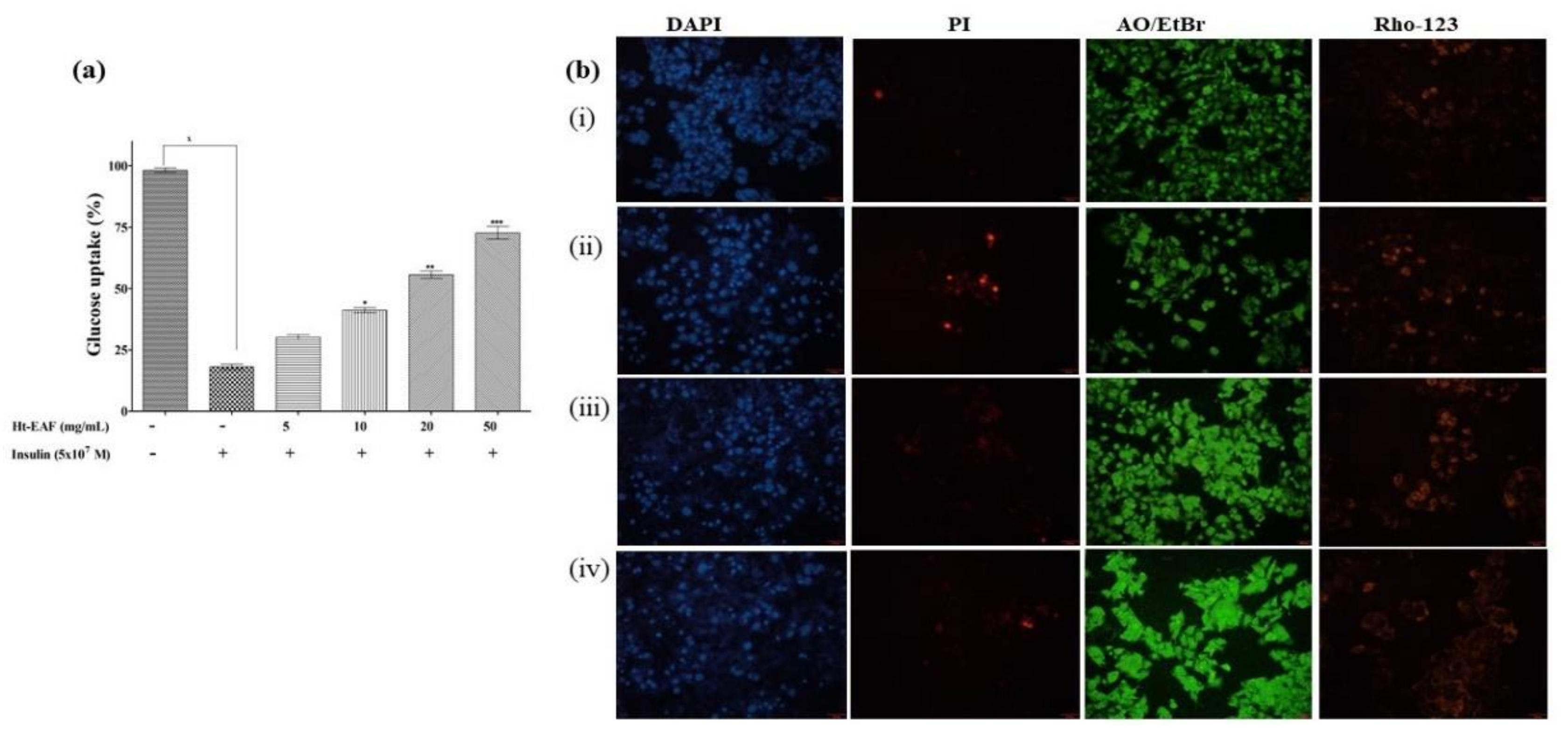 Antioxidants Free Full Text Ethyl Acetate Fraction Of Helianthus Tuberosus L Induces Anti Diabetic And Wound Healing Activities In Insulin Resistant Human Liver Cancer And Mouse Fibroblast Cells Html