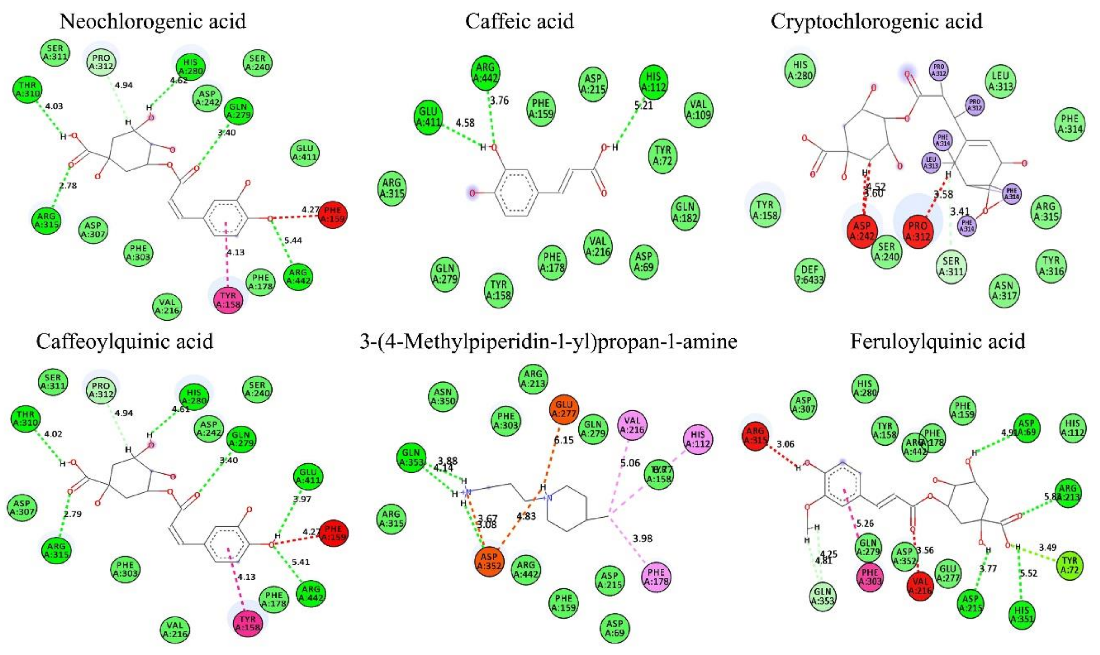 Antioxidants Free Full Text Ethyl Acetate Fraction Of Helianthus Tuberosus L Induces Anti Diabetic And Wound Healing Activities In Insulin Resistant Human Liver Cancer And Mouse Fibroblast Cells Html