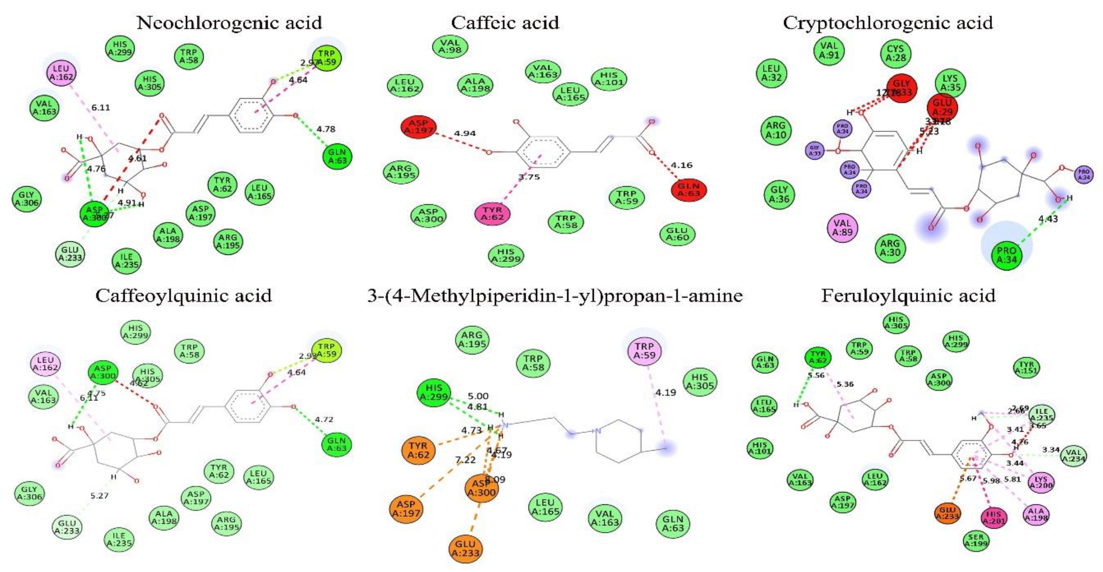 Antioxidants Free Full Text Ethyl Acetate Fraction Of Helianthus Tuberosus L Induces Anti Diabetic And Wound Healing Activities In Insulin Resistant Human Liver Cancer And Mouse Fibroblast Cells Html