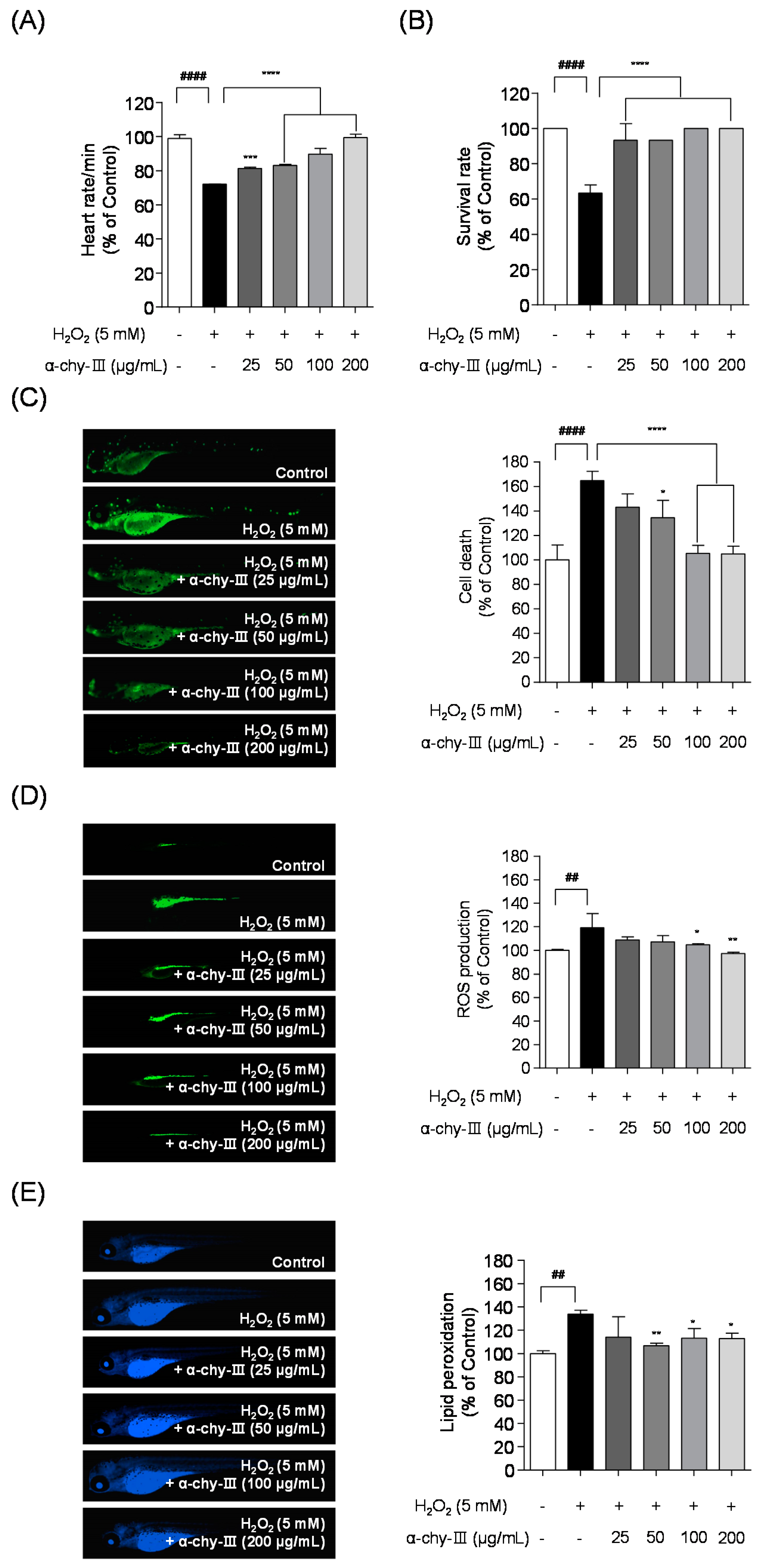Antioxidants 10 00110 g005