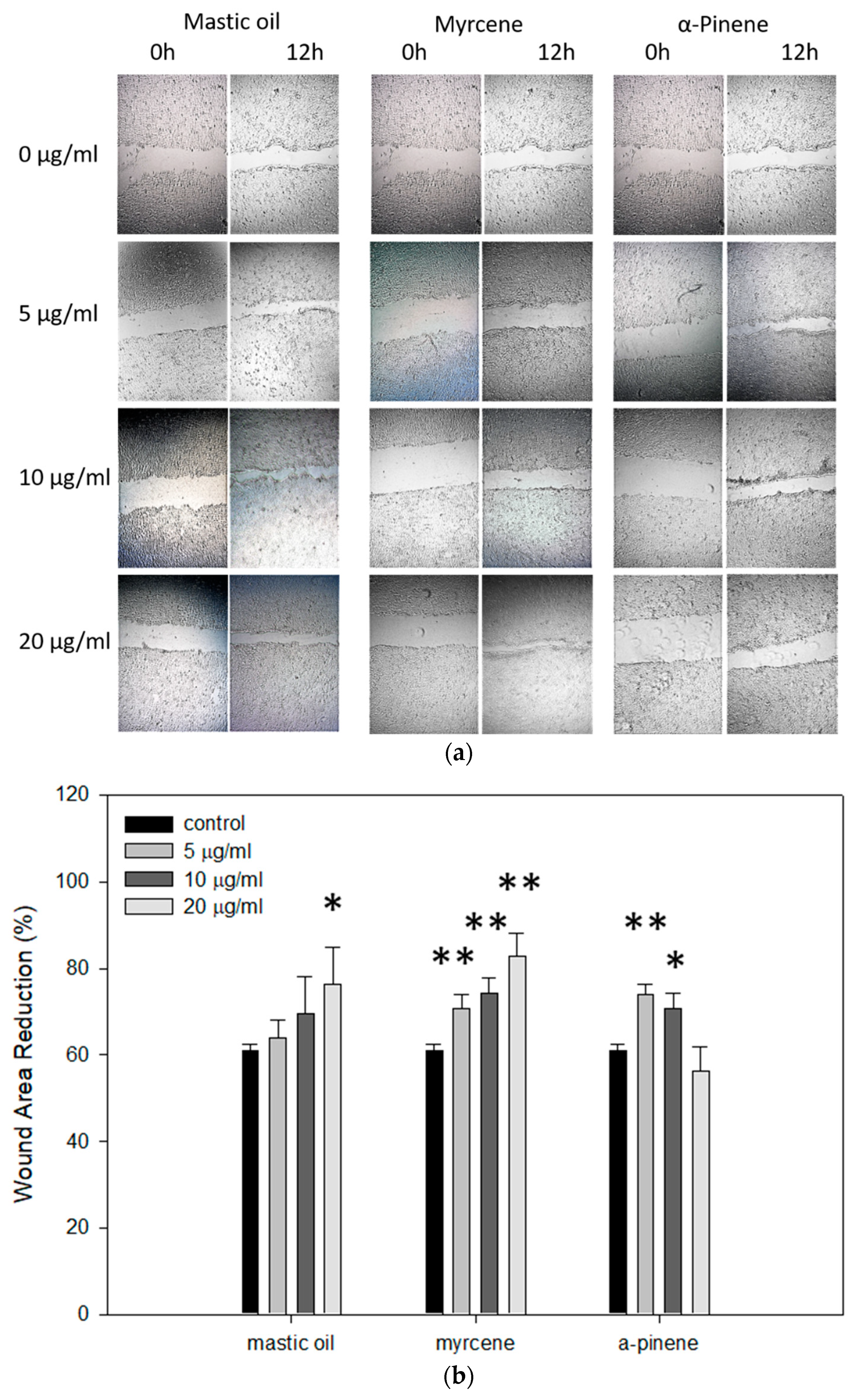 Antioxidants 10 00127 g006 Antioxidants 10 00127 g006