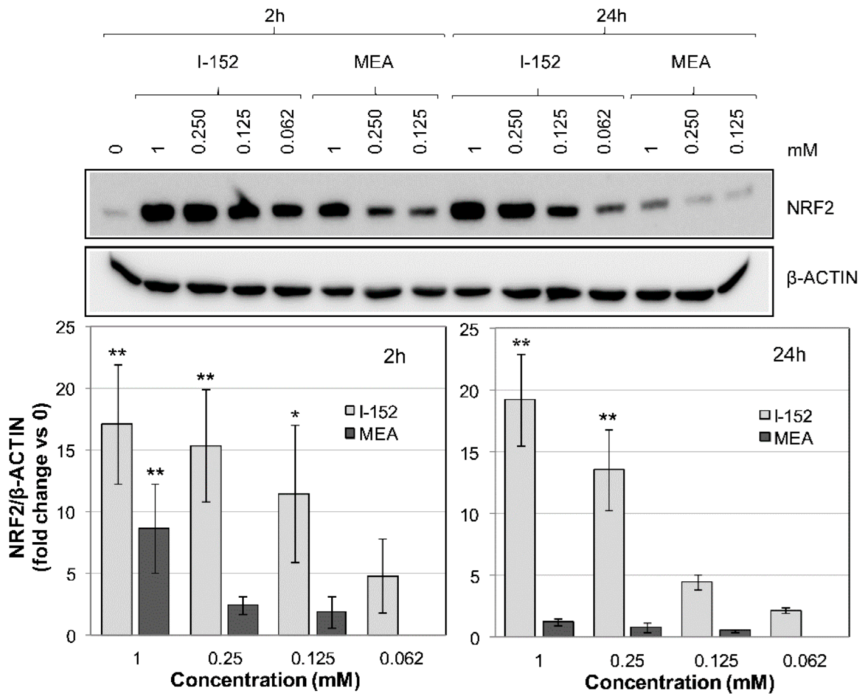 Antioxidants 10 00175 g002