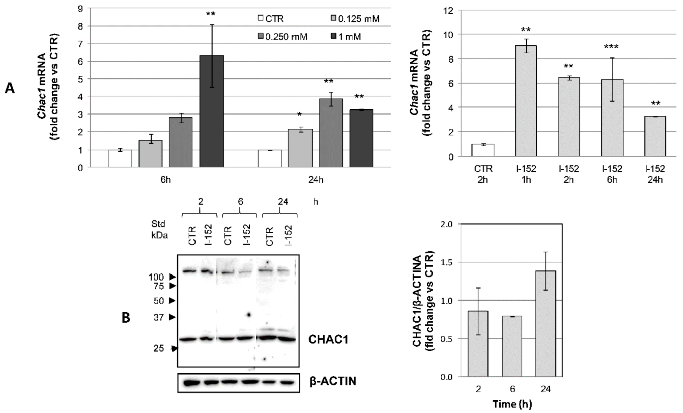 Antioxidants 10 00175 g008
