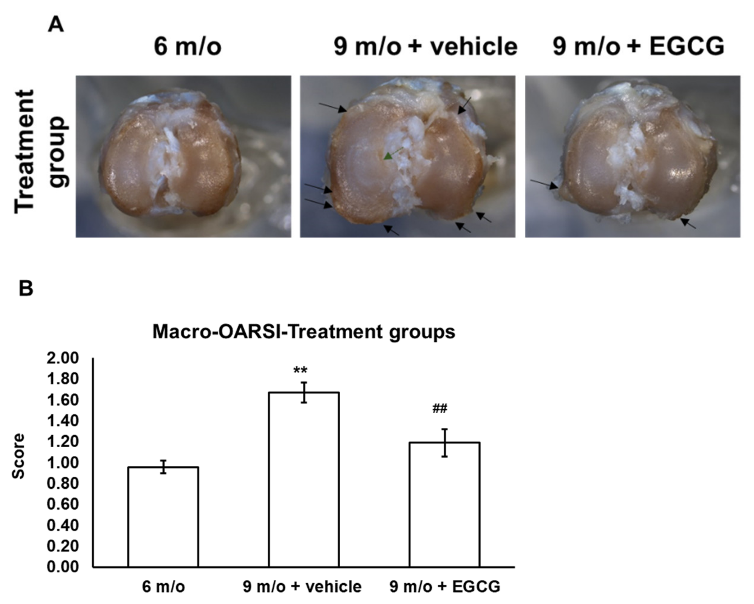 Antioxidants 10 00178 g005