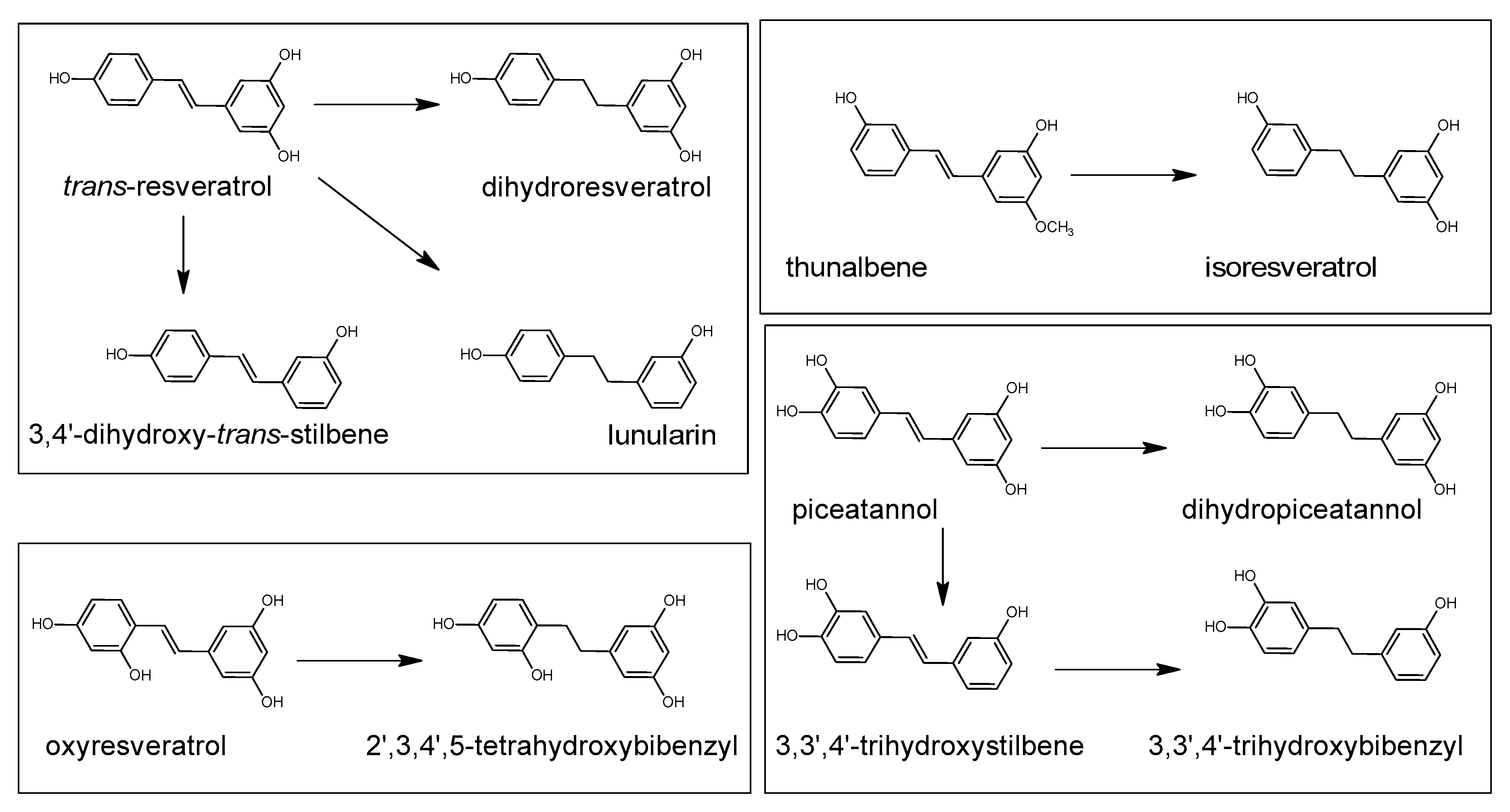 Antioxidants 10 00188 g019