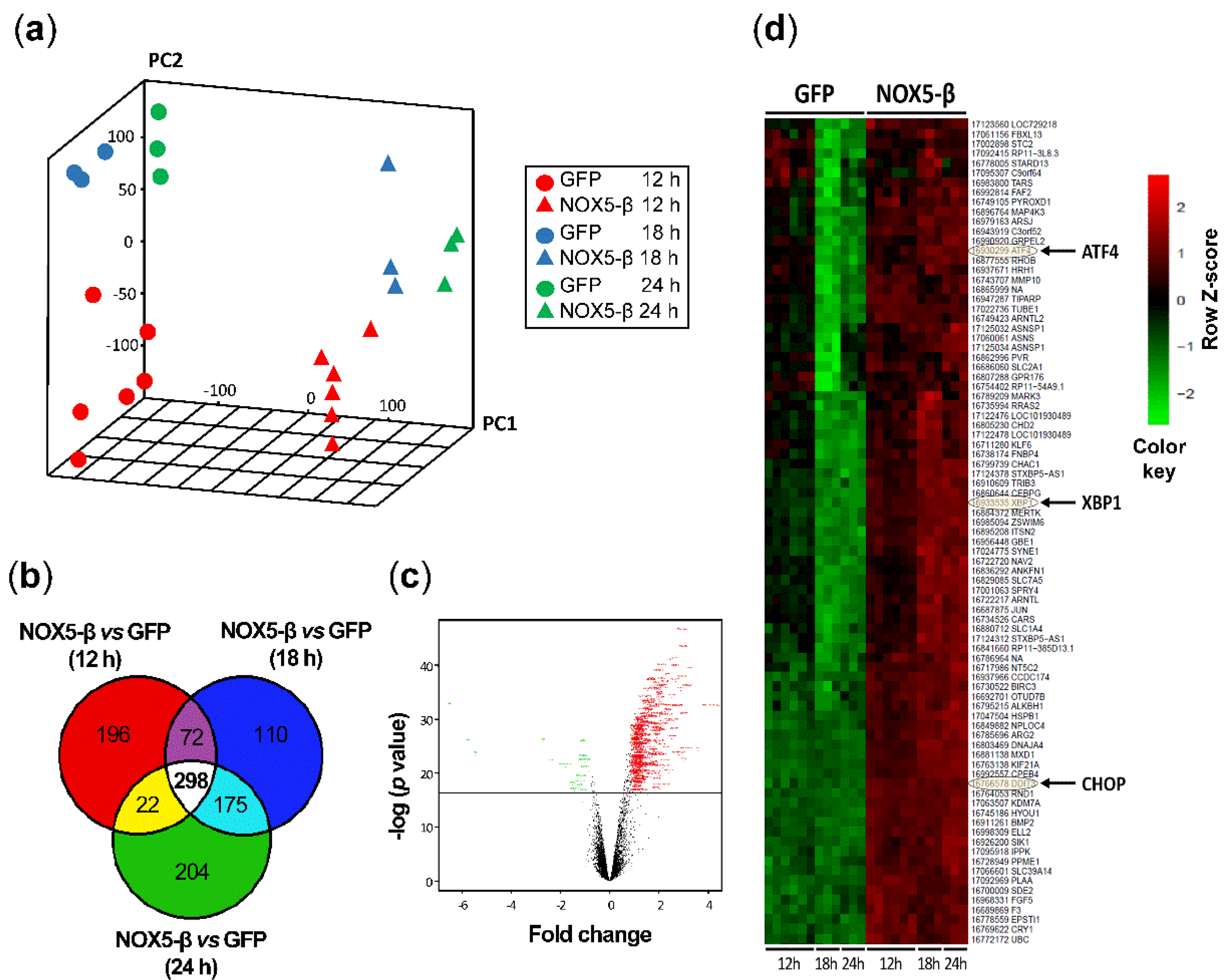 Antioxidants 10 00194 g002 Antioxidants 10 00194 g002