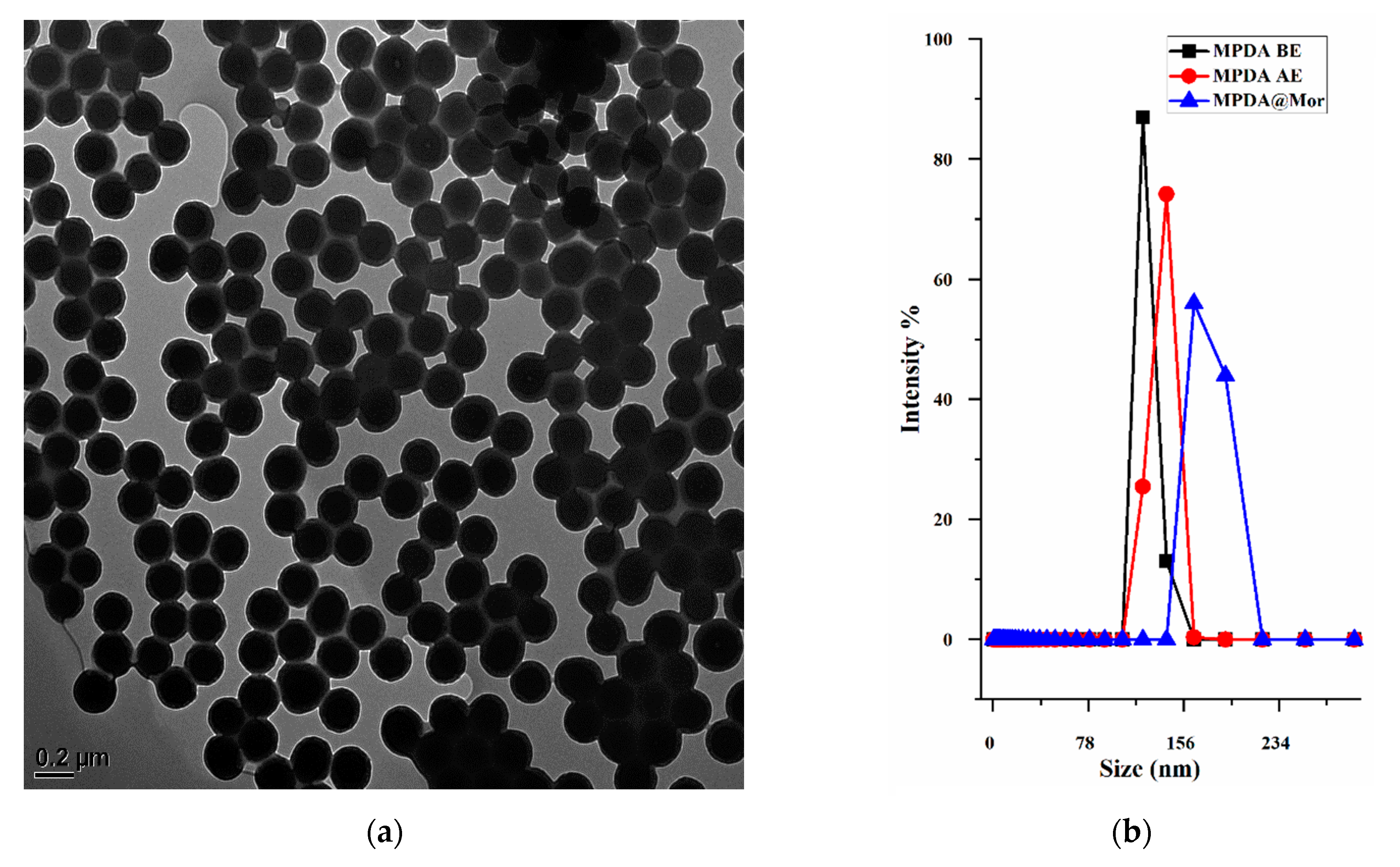 Antioxidants Free Full Text Mesoporous Polydopamine Nanoparticles Attenuate Morphine Tolerance In Neuropathic Pain Rats By Inhibition Of Oxidative Stress And Restoration Of The Endogenous Antioxidant System Html