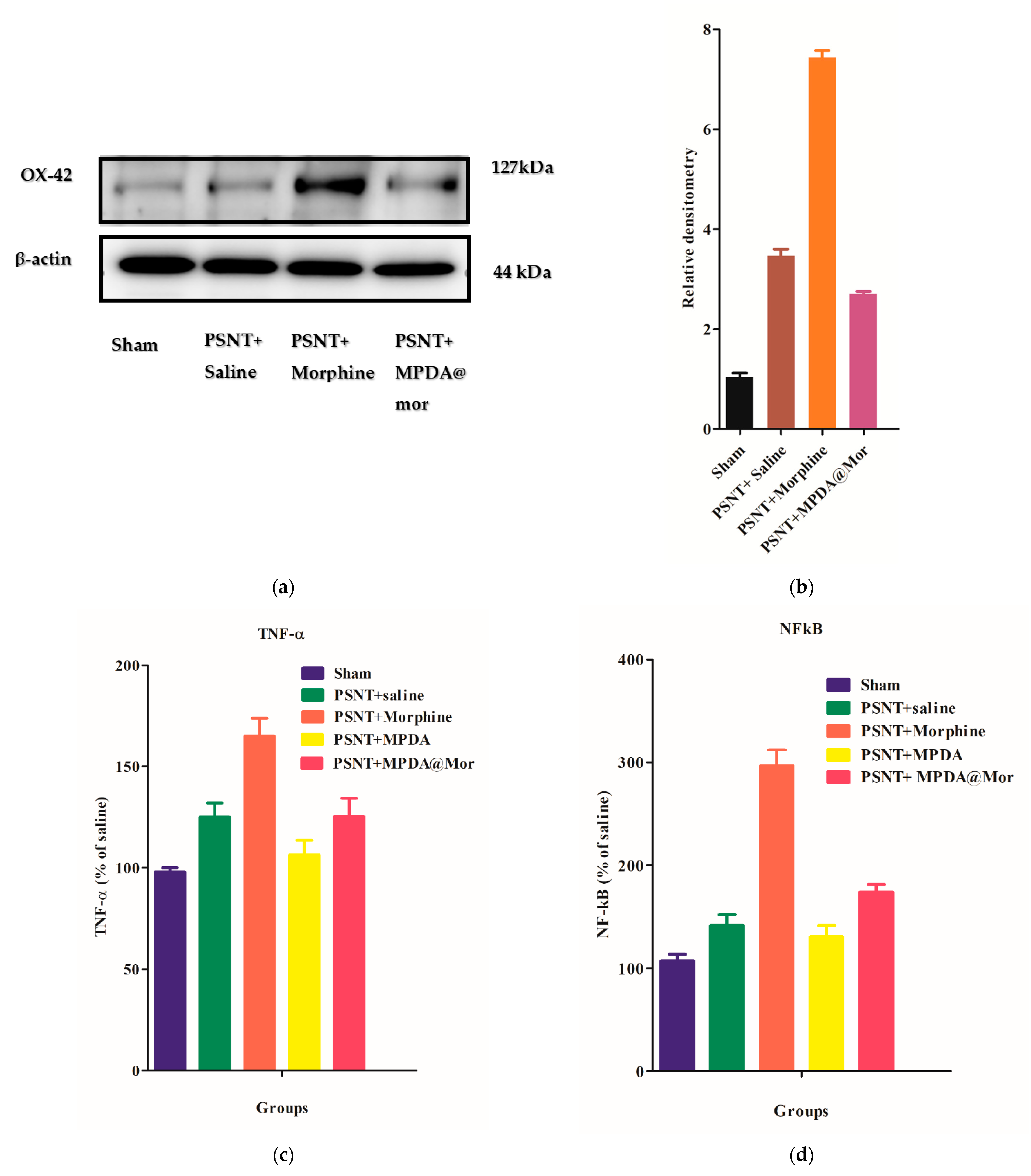 Antioxidants Free Full Text Mesoporous Polydopamine Nanoparticles Attenuate Morphine Tolerance In Neuropathic Pain Rats By Inhibition Of Oxidative Stress And Restoration Of The Endogenous Antioxidant System Html