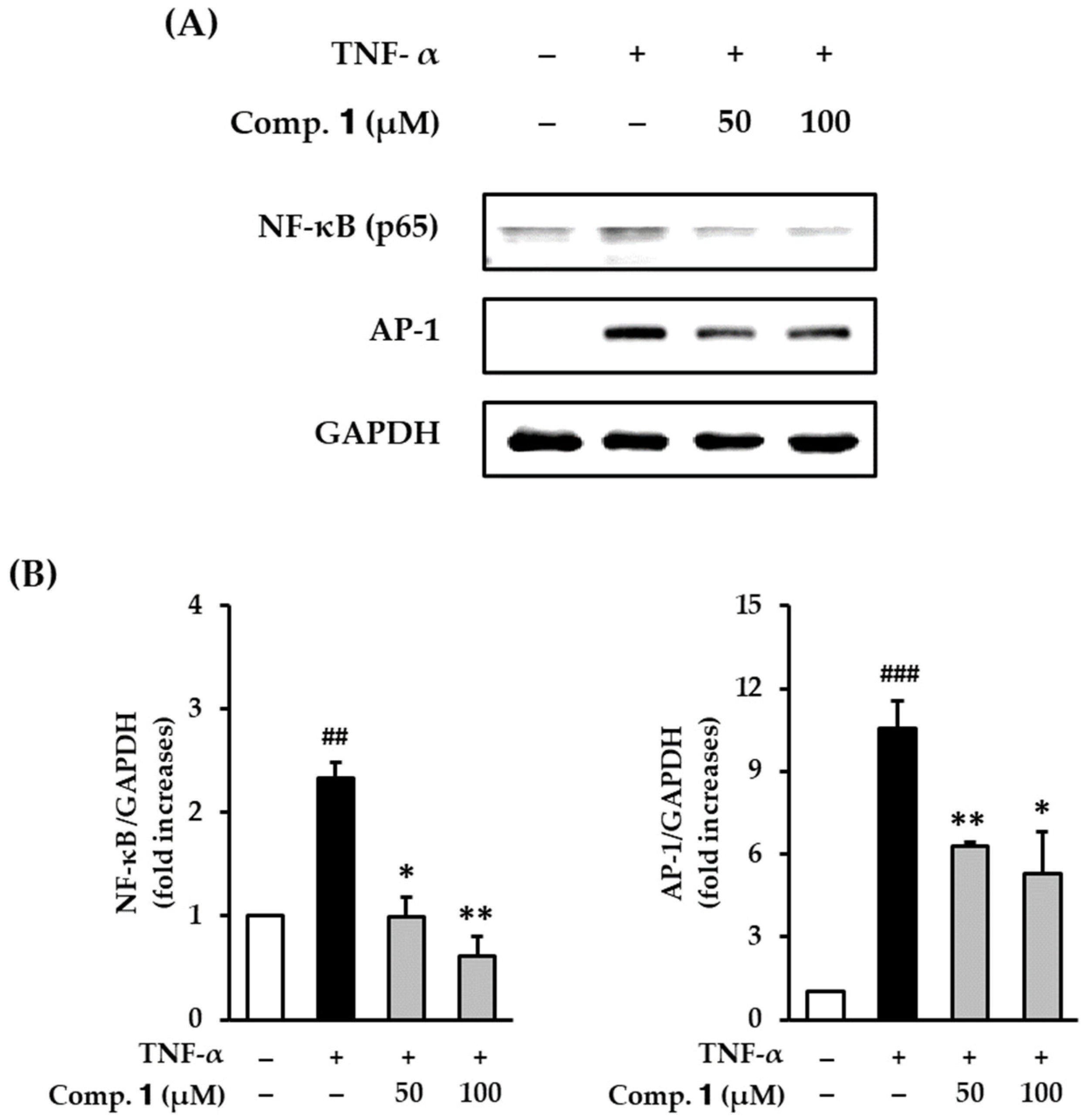 Antioxidants 10 00200 g006