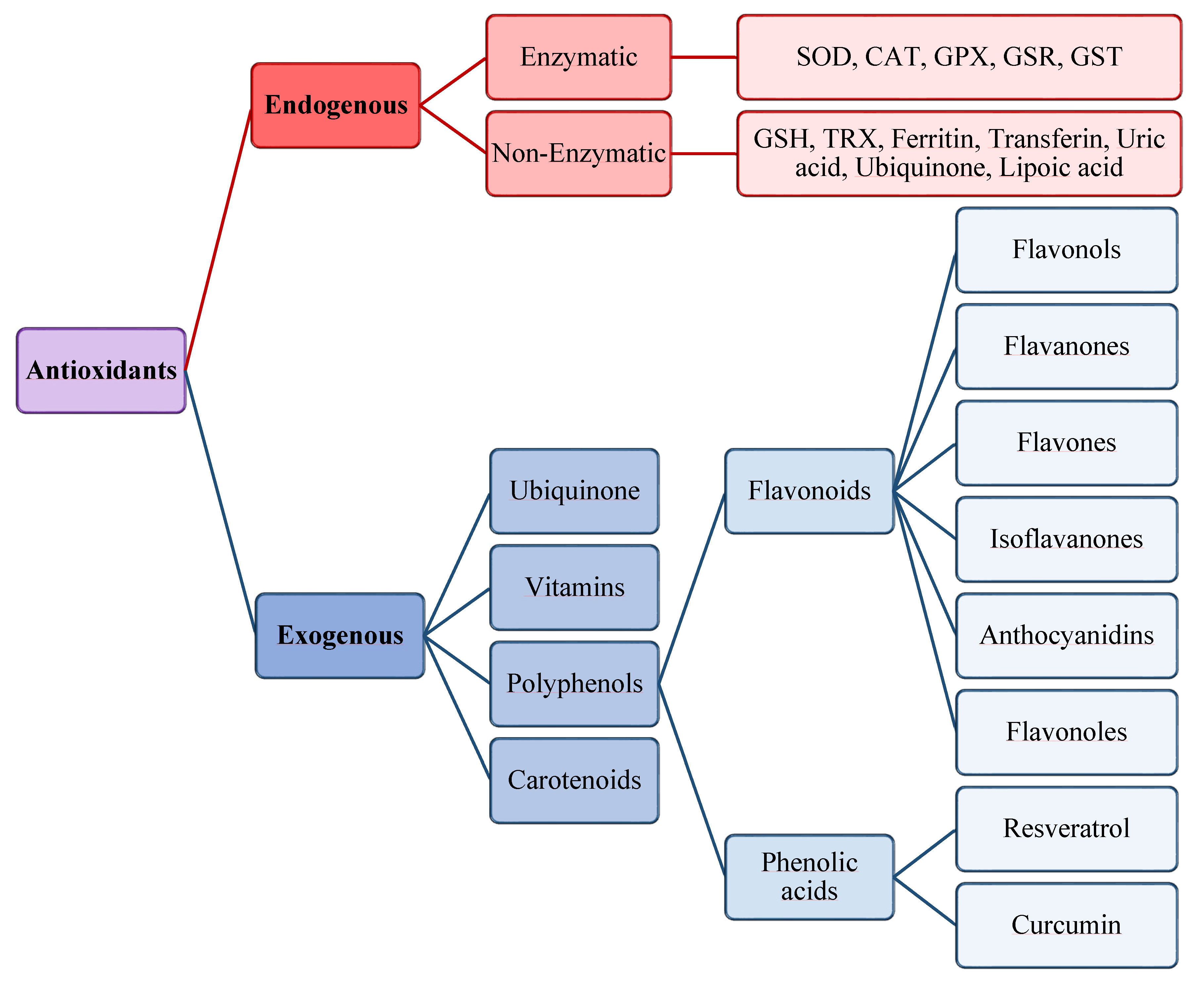 Antioxidants 10 00201 g003 Antioxidants 10 00201 g003