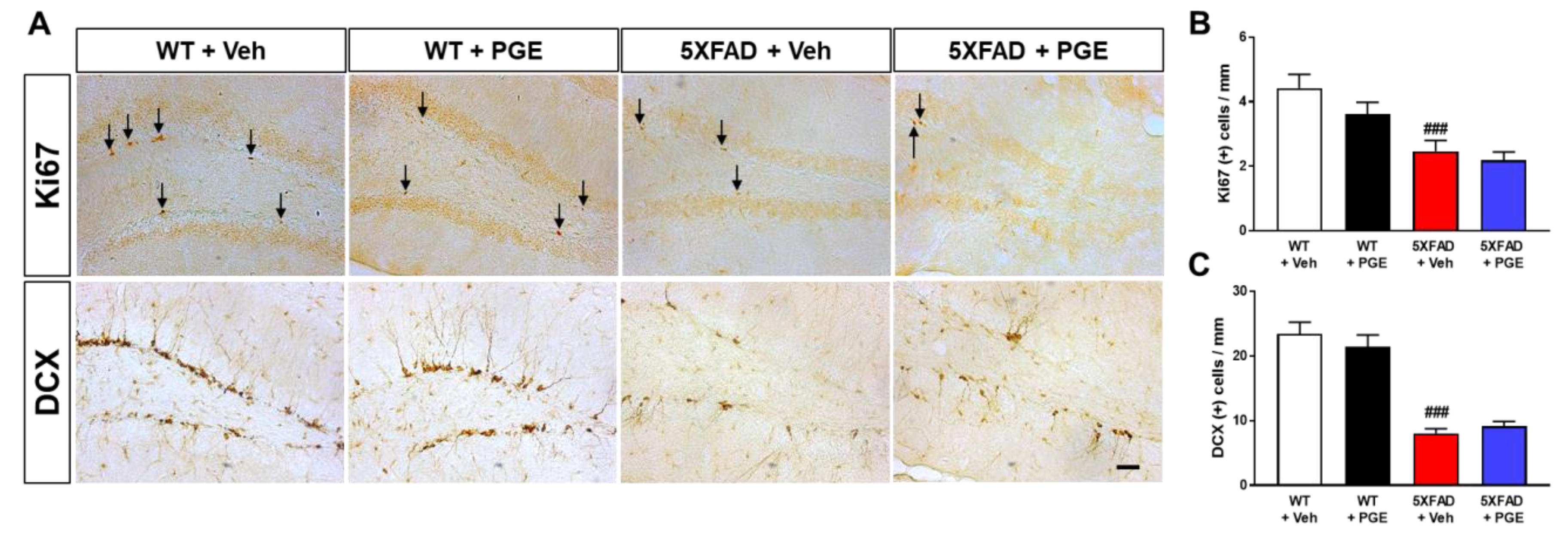 Antioxidants 10 00207 g008
