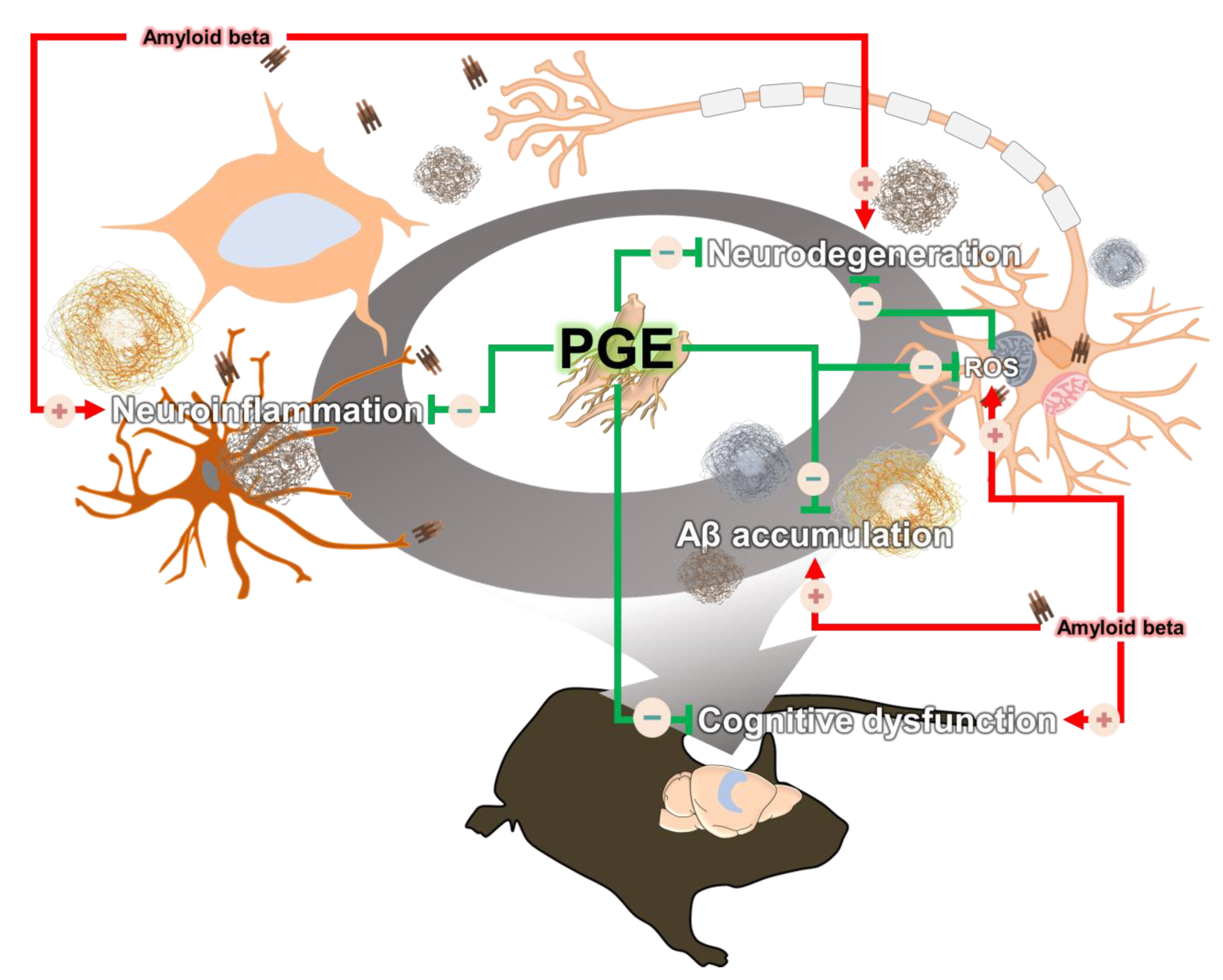 Antioxidants 10 00207 g009