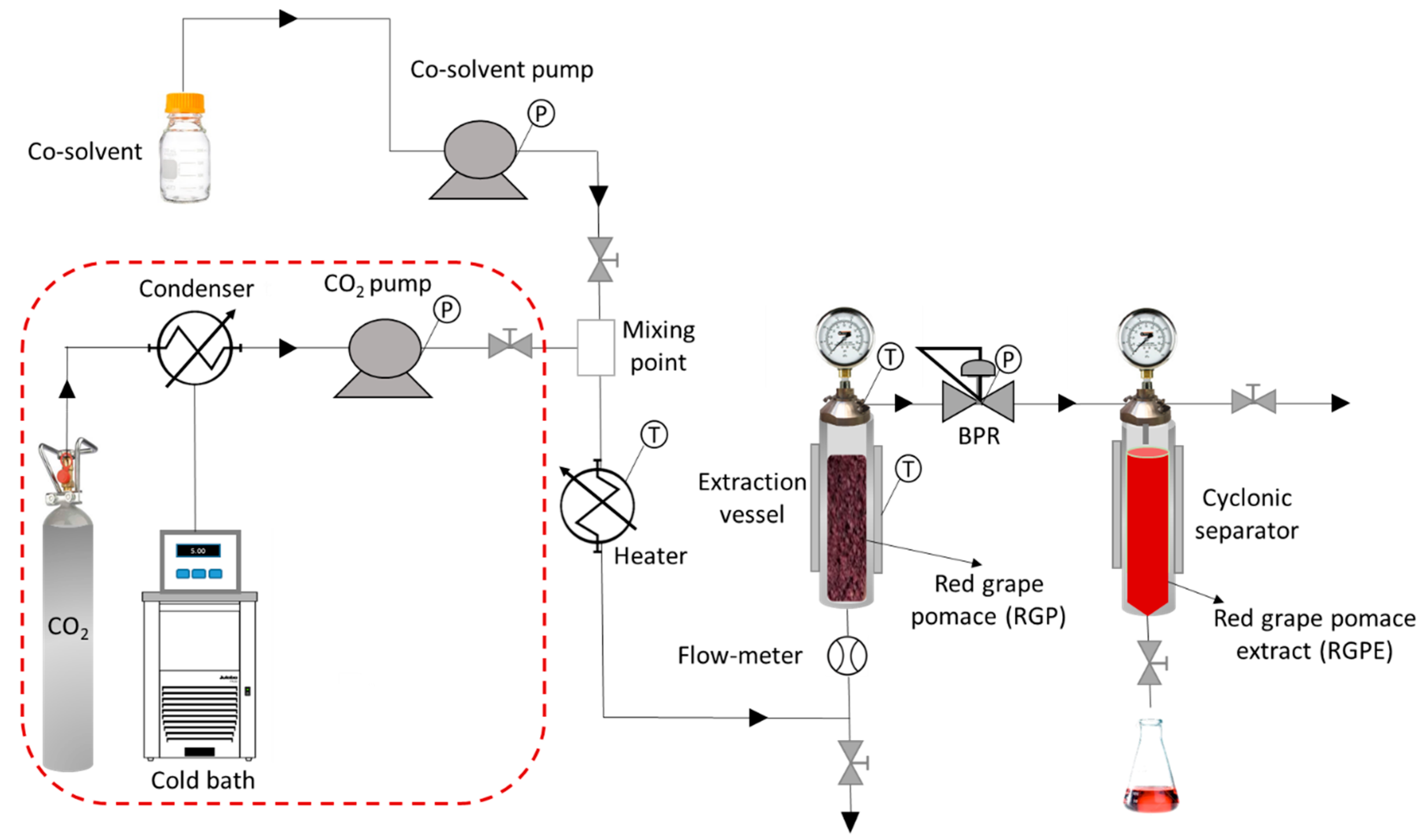 Antioxidants 10 00216 g001