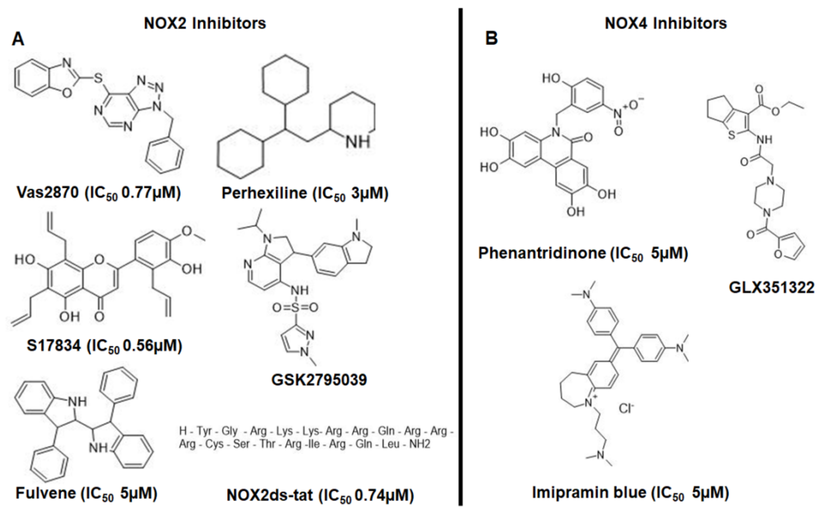 Antioxidants 10 00218 g006
