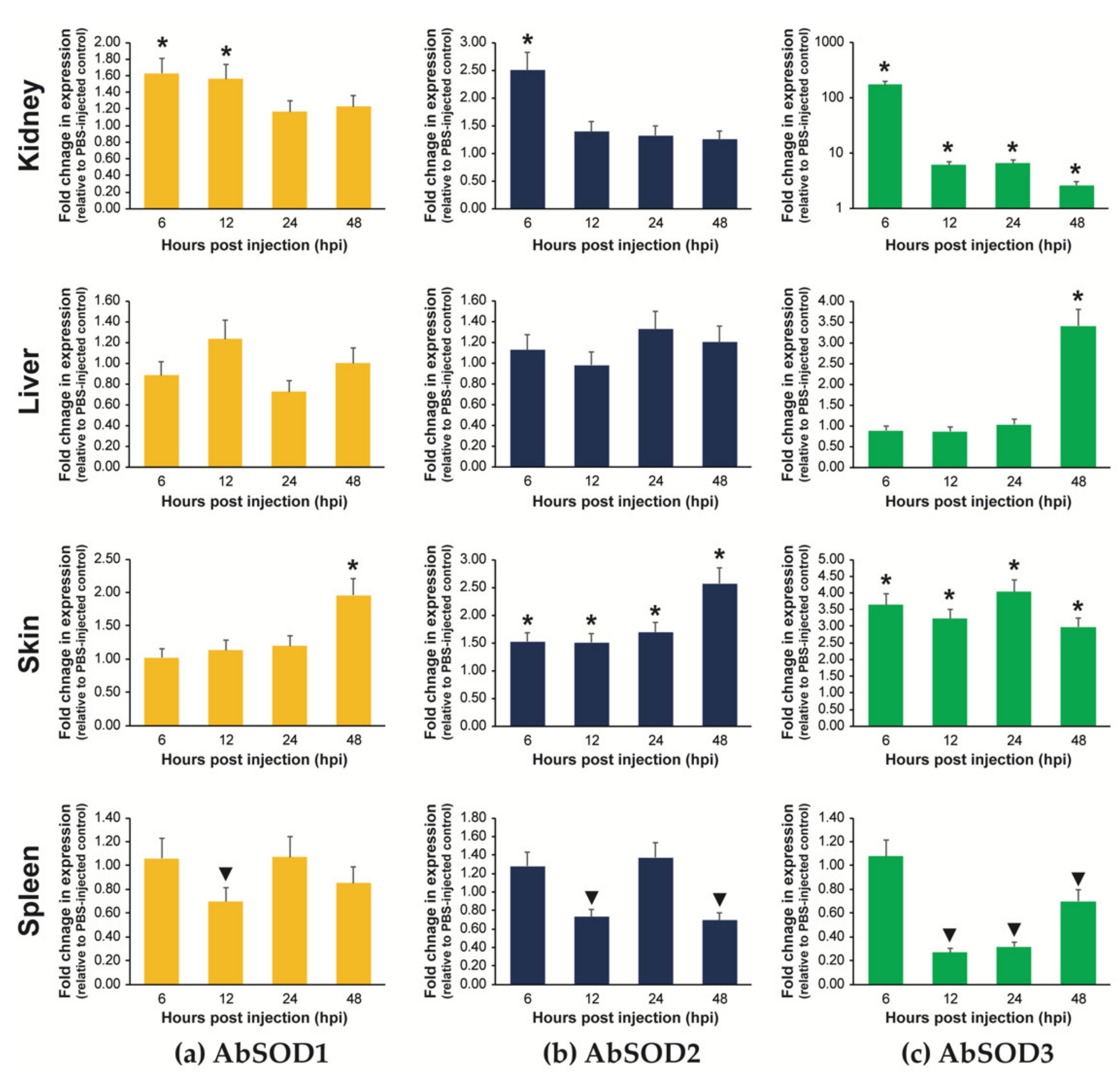 Antioxidants 10 00232 g008