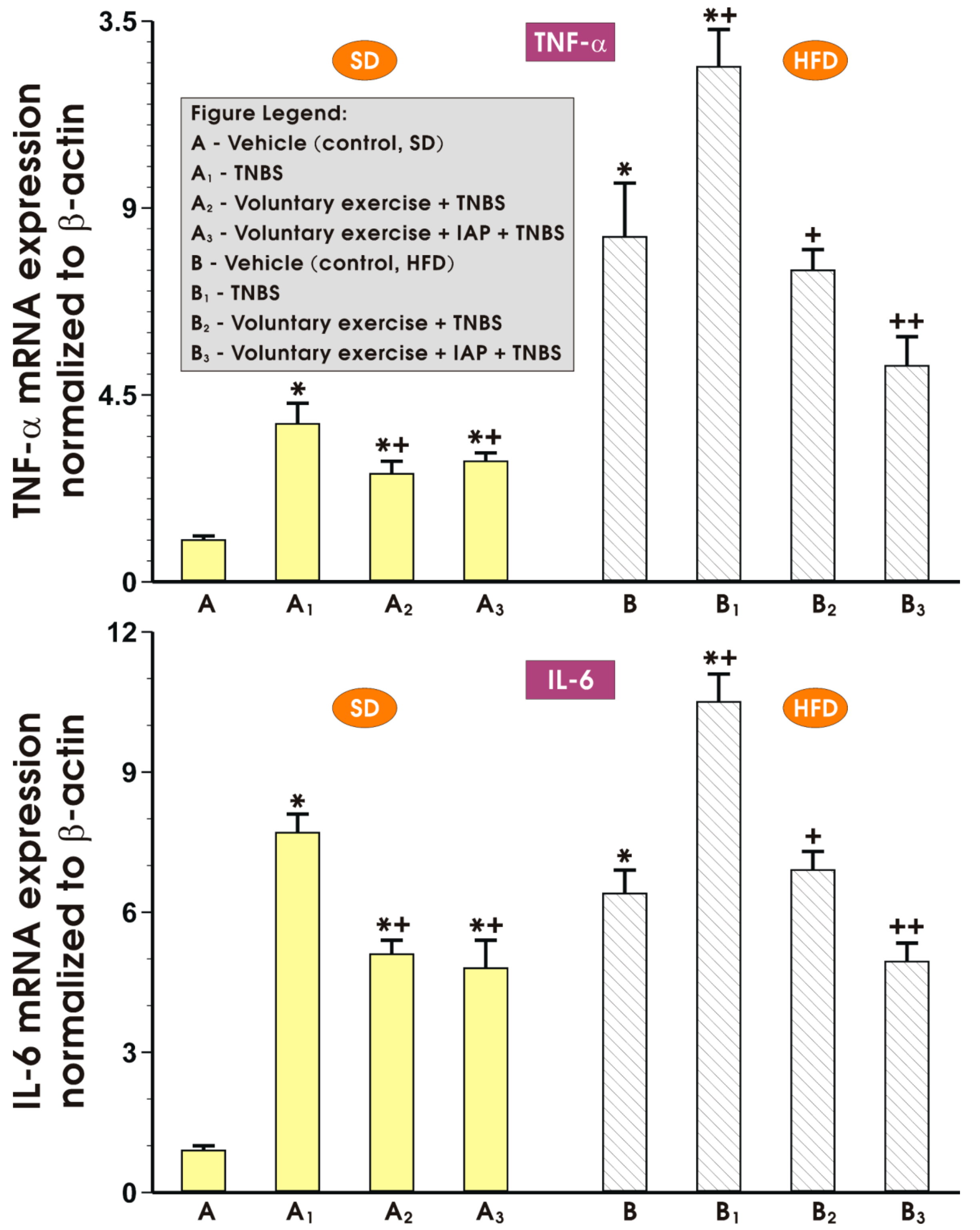 Antioxidants 10 00240 g005