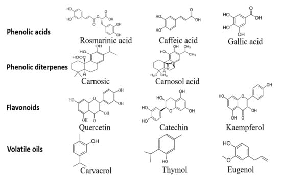 Antioxidants | Free Full-Text | Plant-Based Phenolic Molecules as