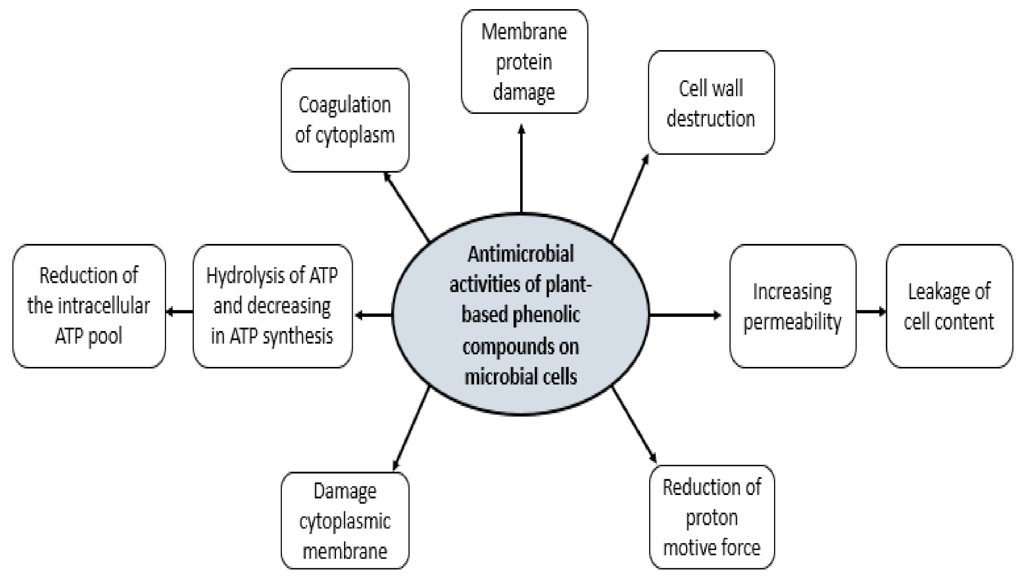 Antioxidants 10 00263 g003