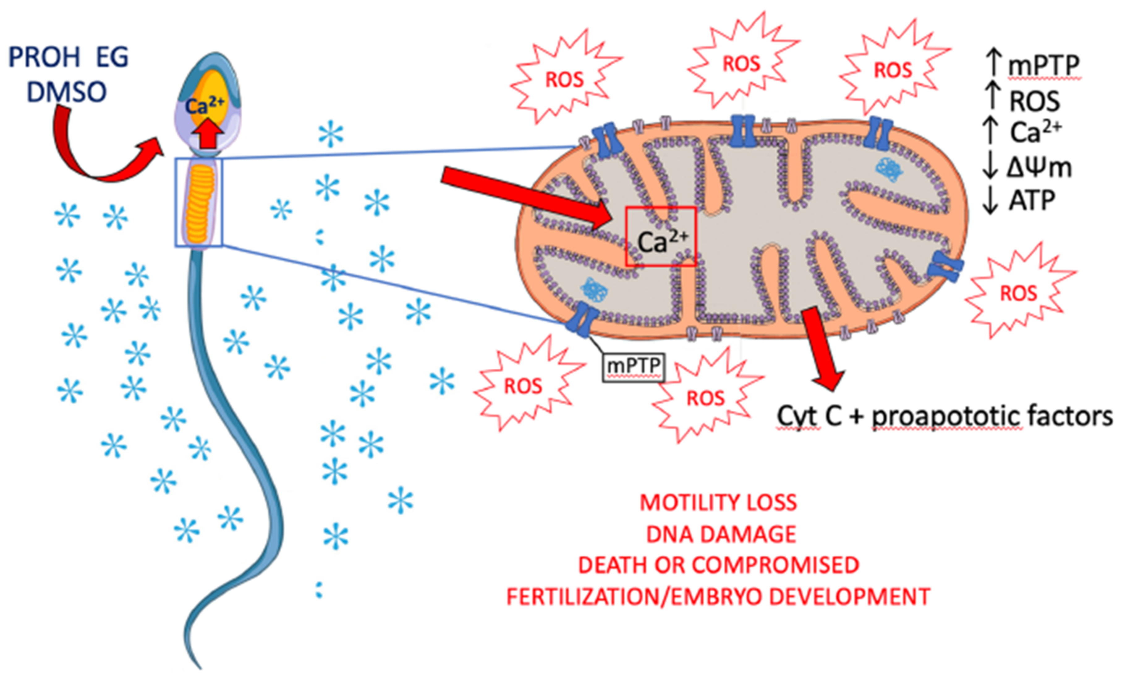 Antioxidants 10 00337 g002 Antioxidants 10 00337 g002
