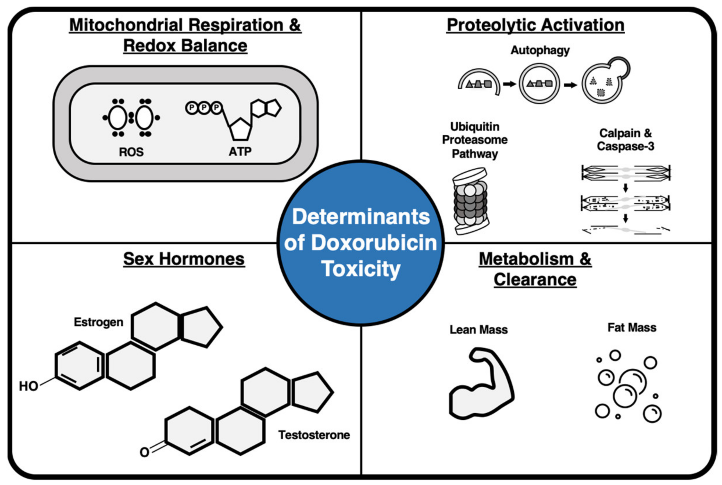 Antioxidants 10 00343 g002 Antioxidants 10 00343 g002