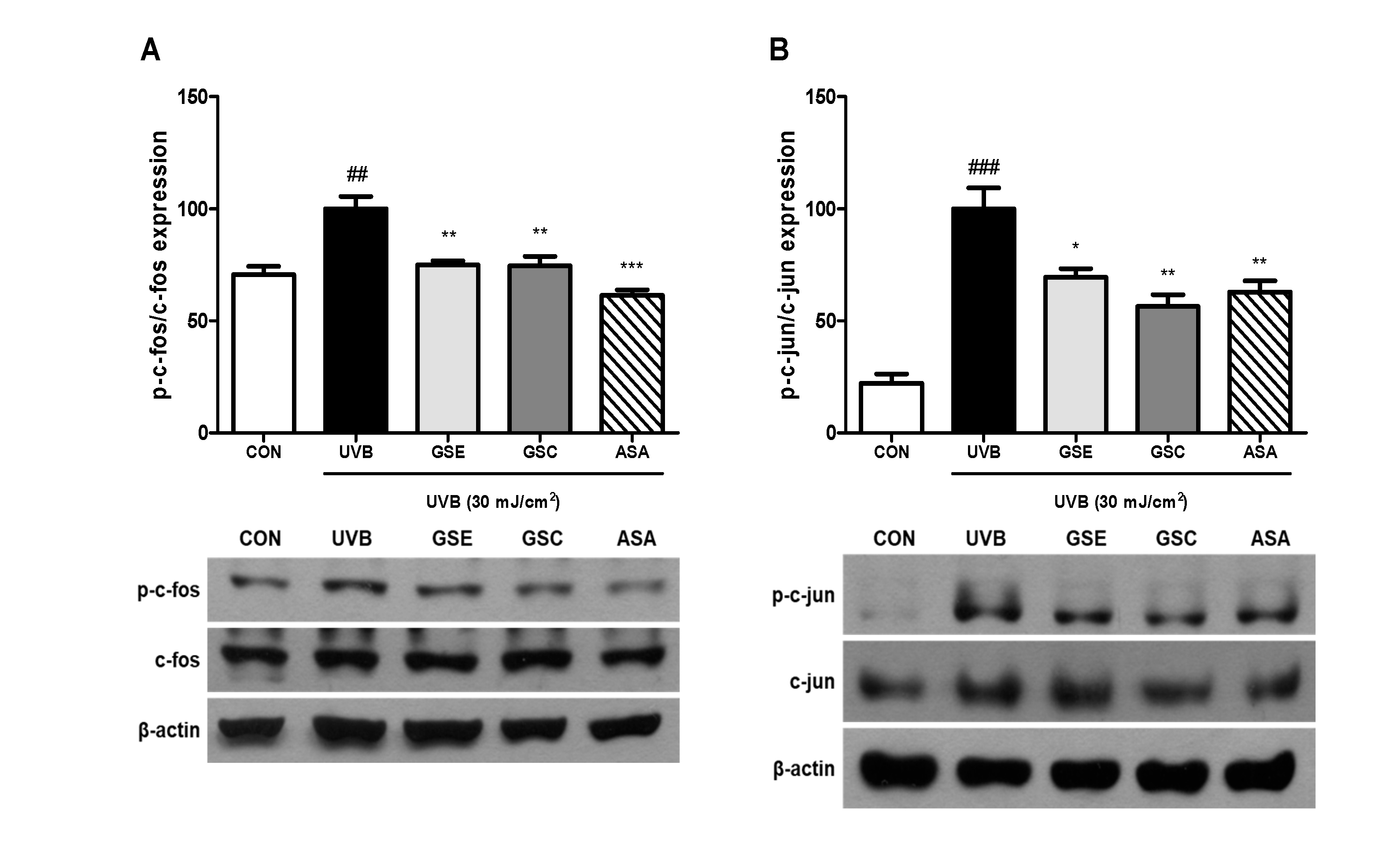 Antioxidants 10 00403 g004