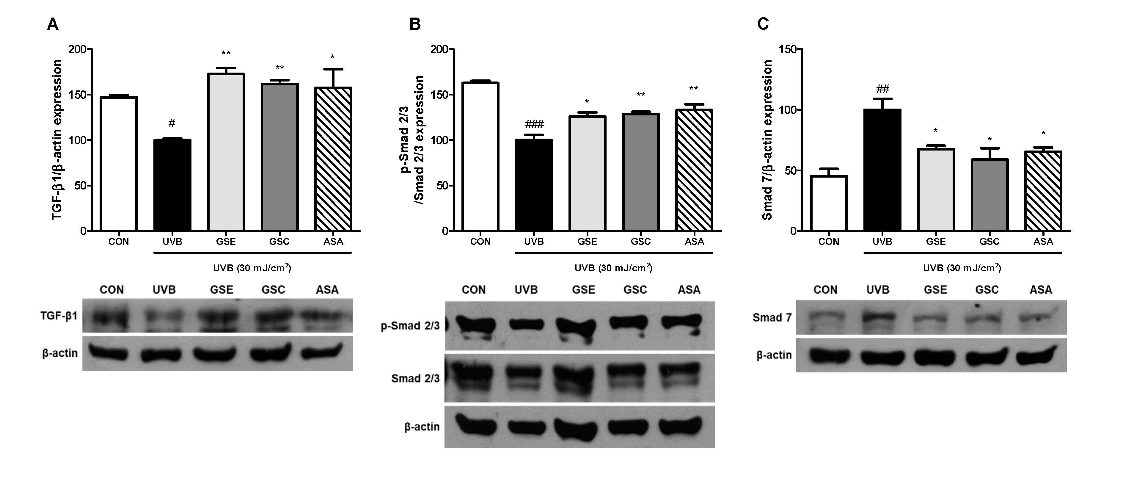 Antioxidants 10 00403 g005