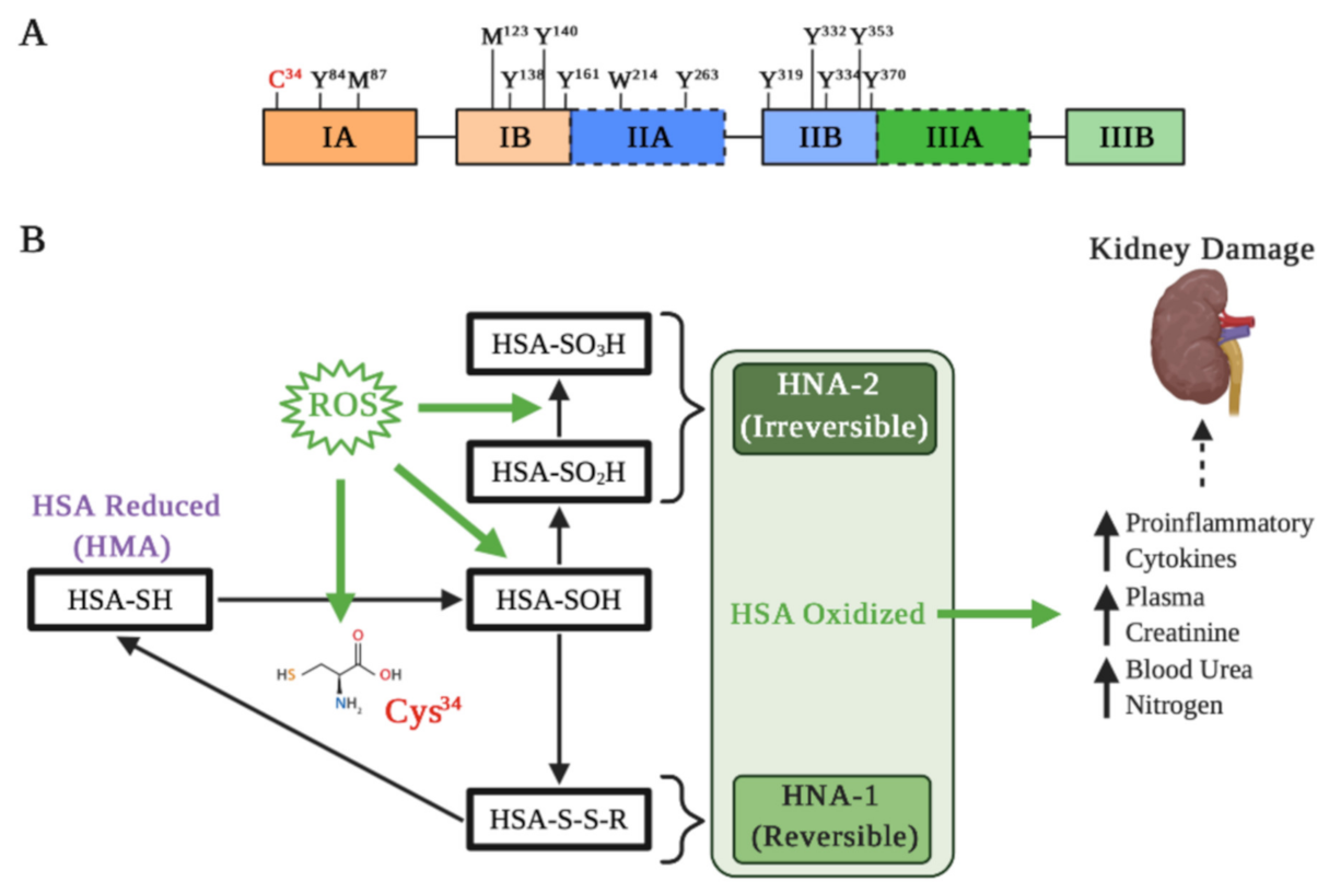 Antioxidants 10 00404 g002 Antioxidants 10 00404 g002