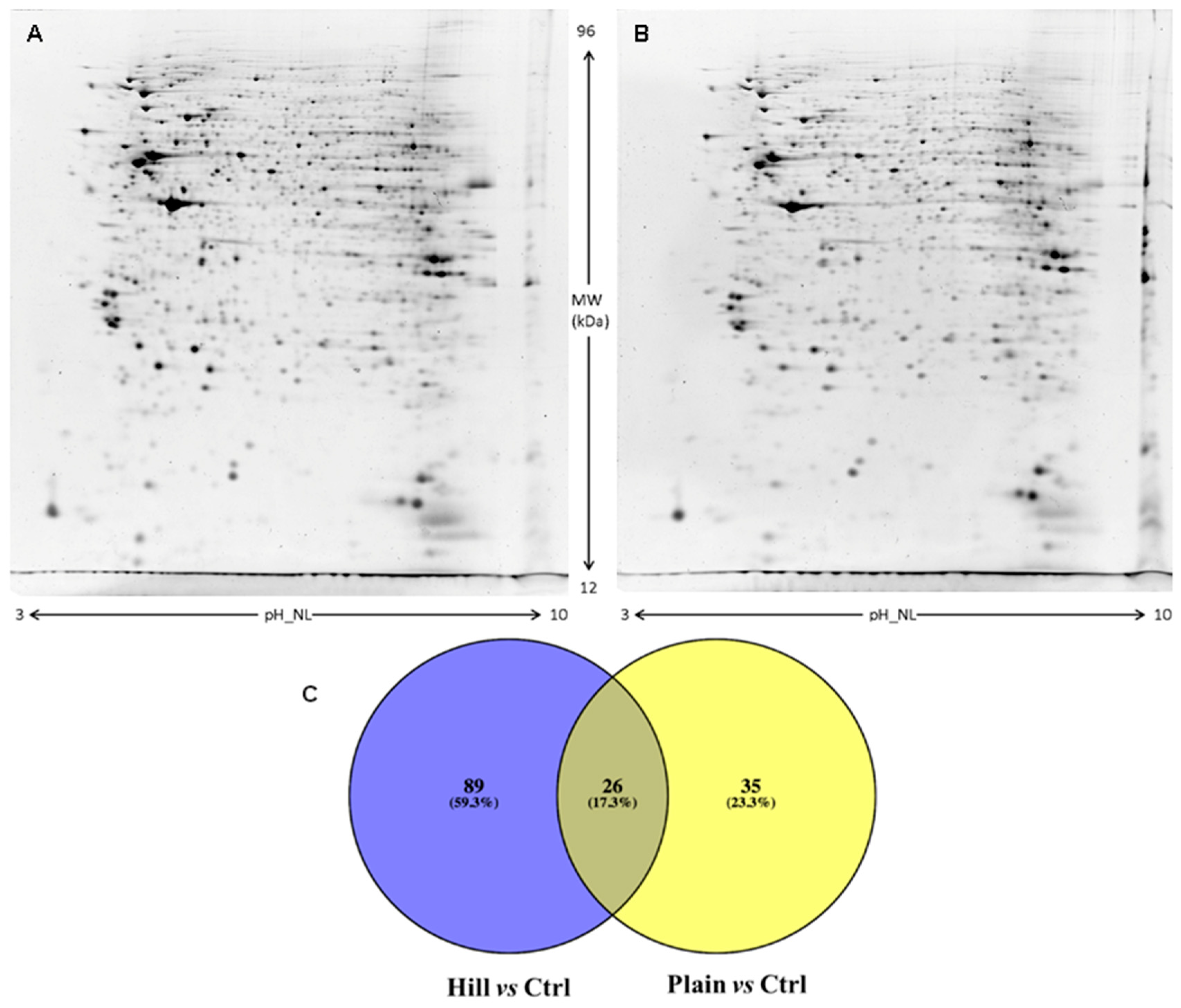 Antioxidants Free Full Text Antioxidant And Neuroprotective Activity Of Extra Virgin Olive Oil Extracts Obtained From Quercetano Cultivar Trees Grown In Different Areas Of The Tuscany Region Italy Html