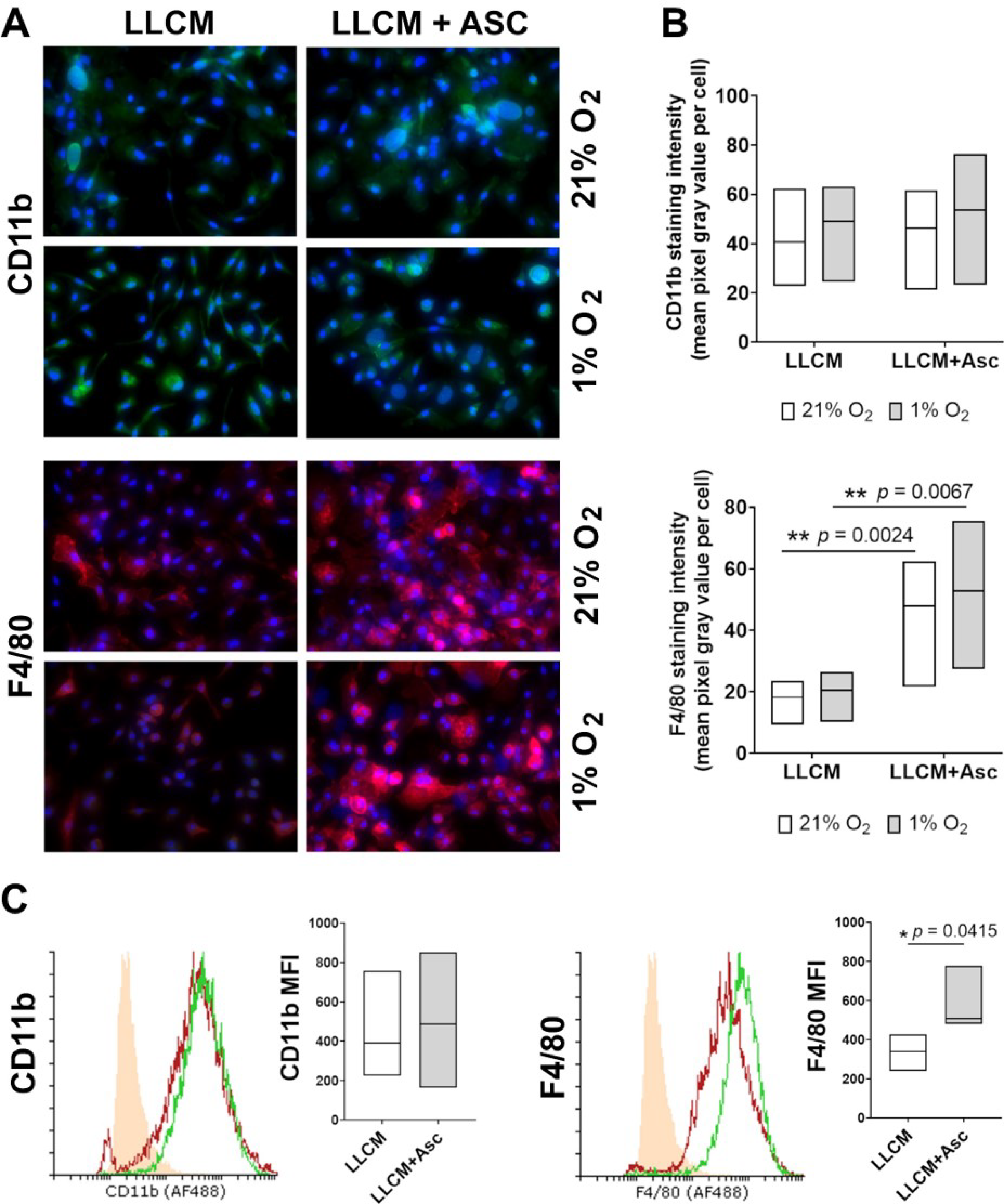 Antioxidants 10 00430 g001 Antioxidants 10 00430 g001