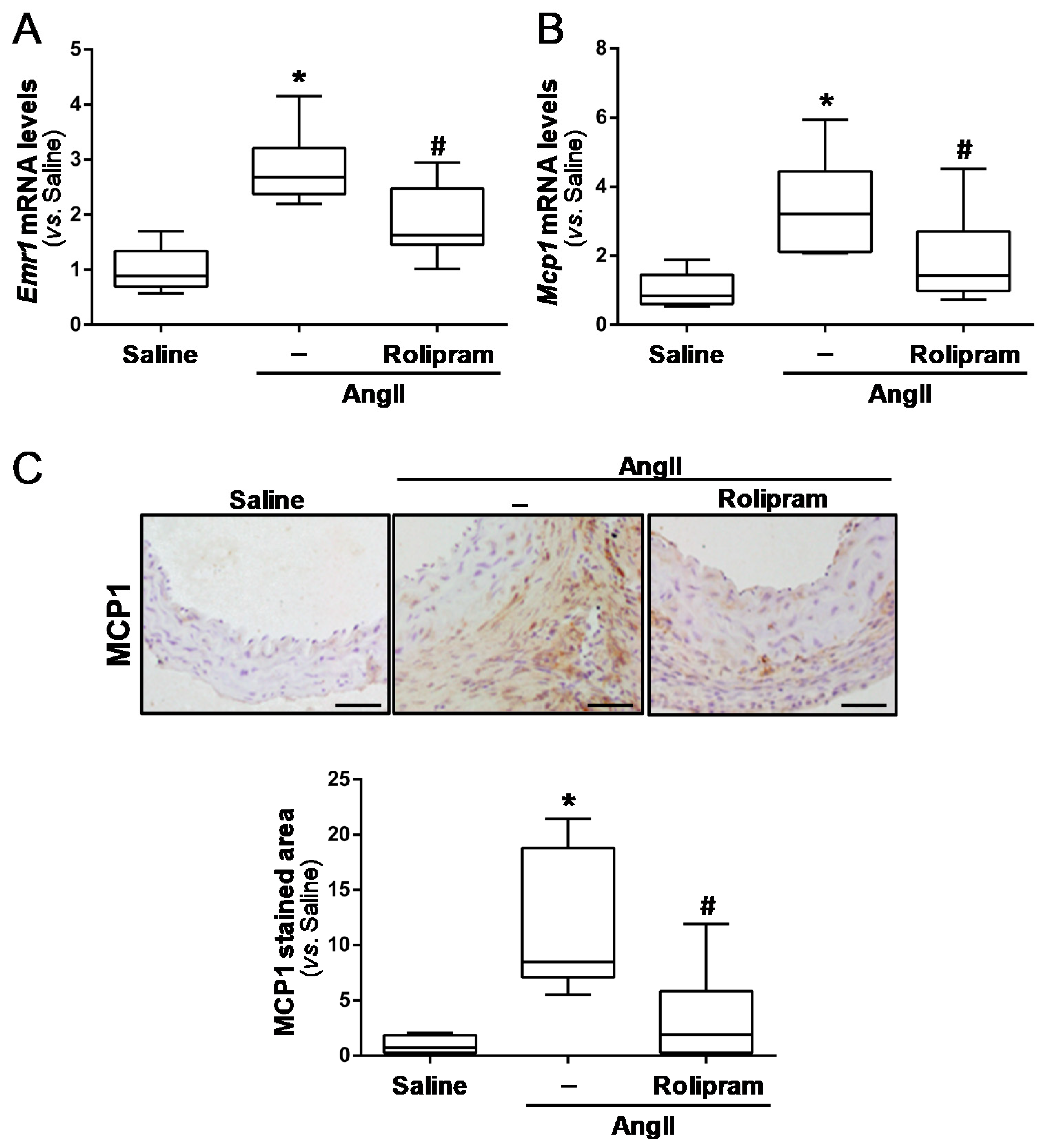 Antioxidants 10 00460 g005
