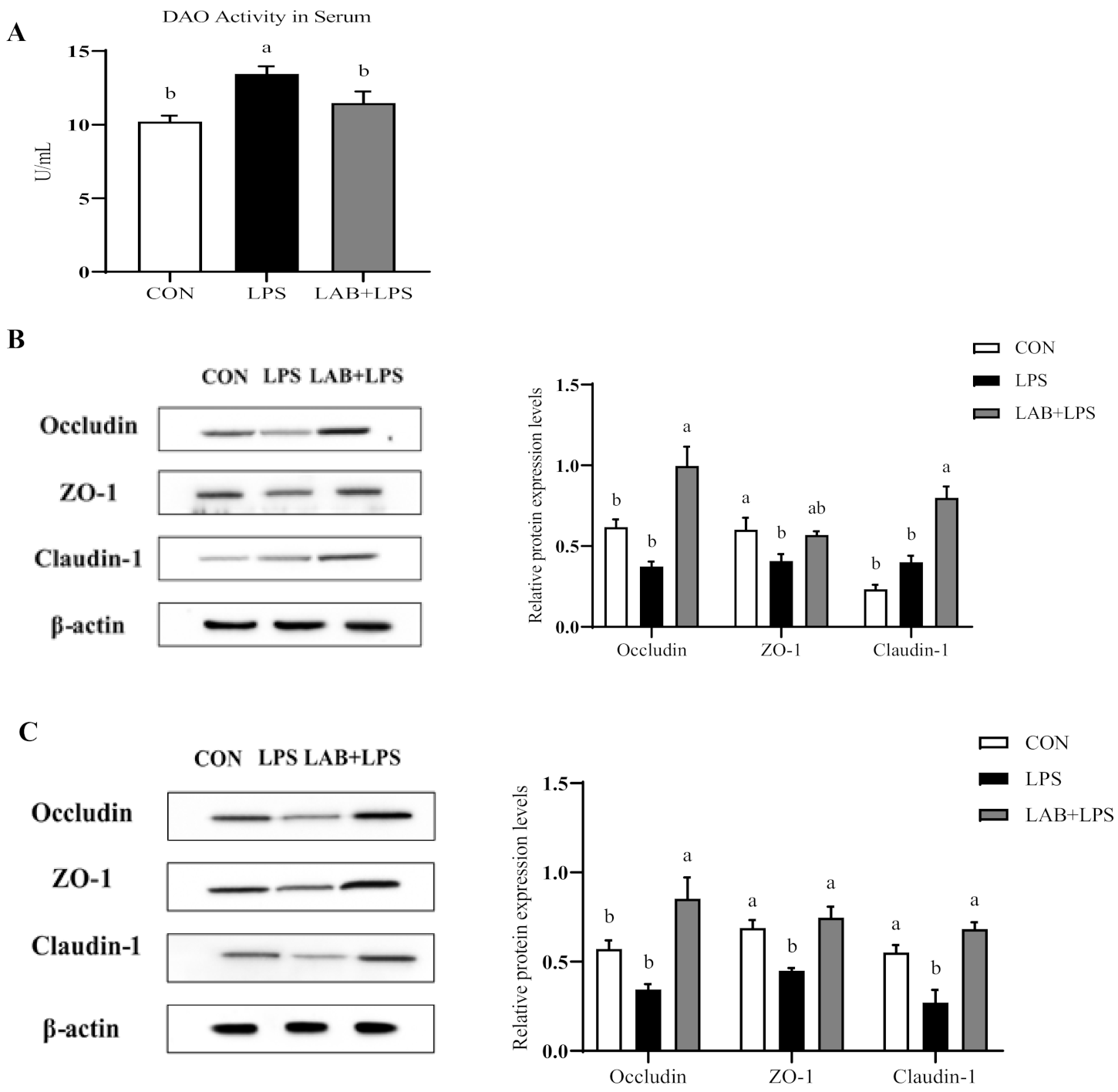Antioxidants 10 00468 g001