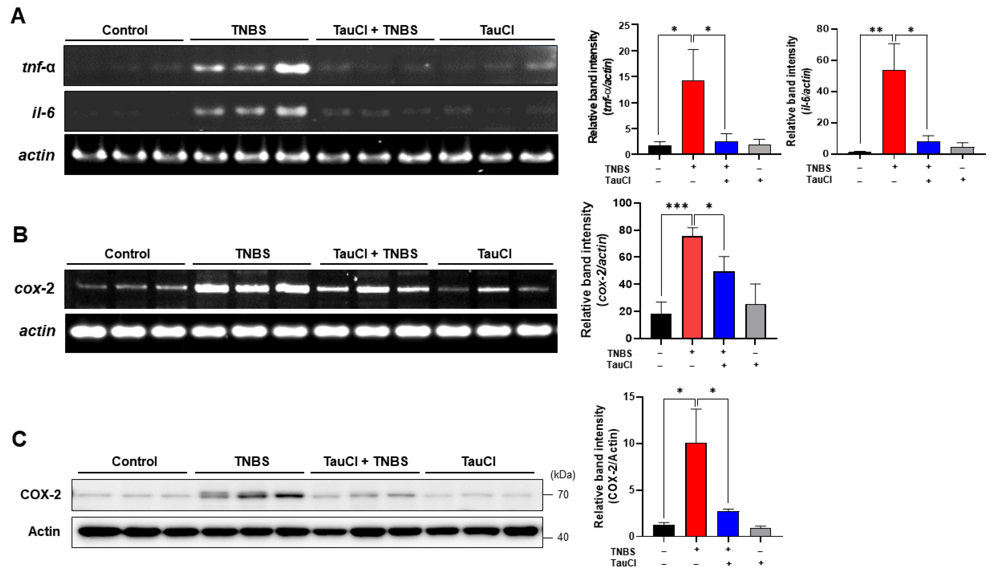 Antioxidants 10 00479 g003