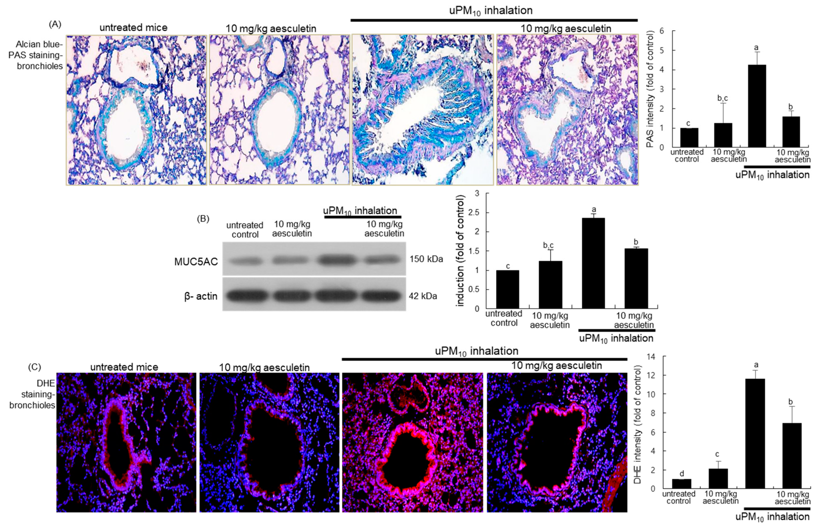 Antioxidants 10 00494 g003