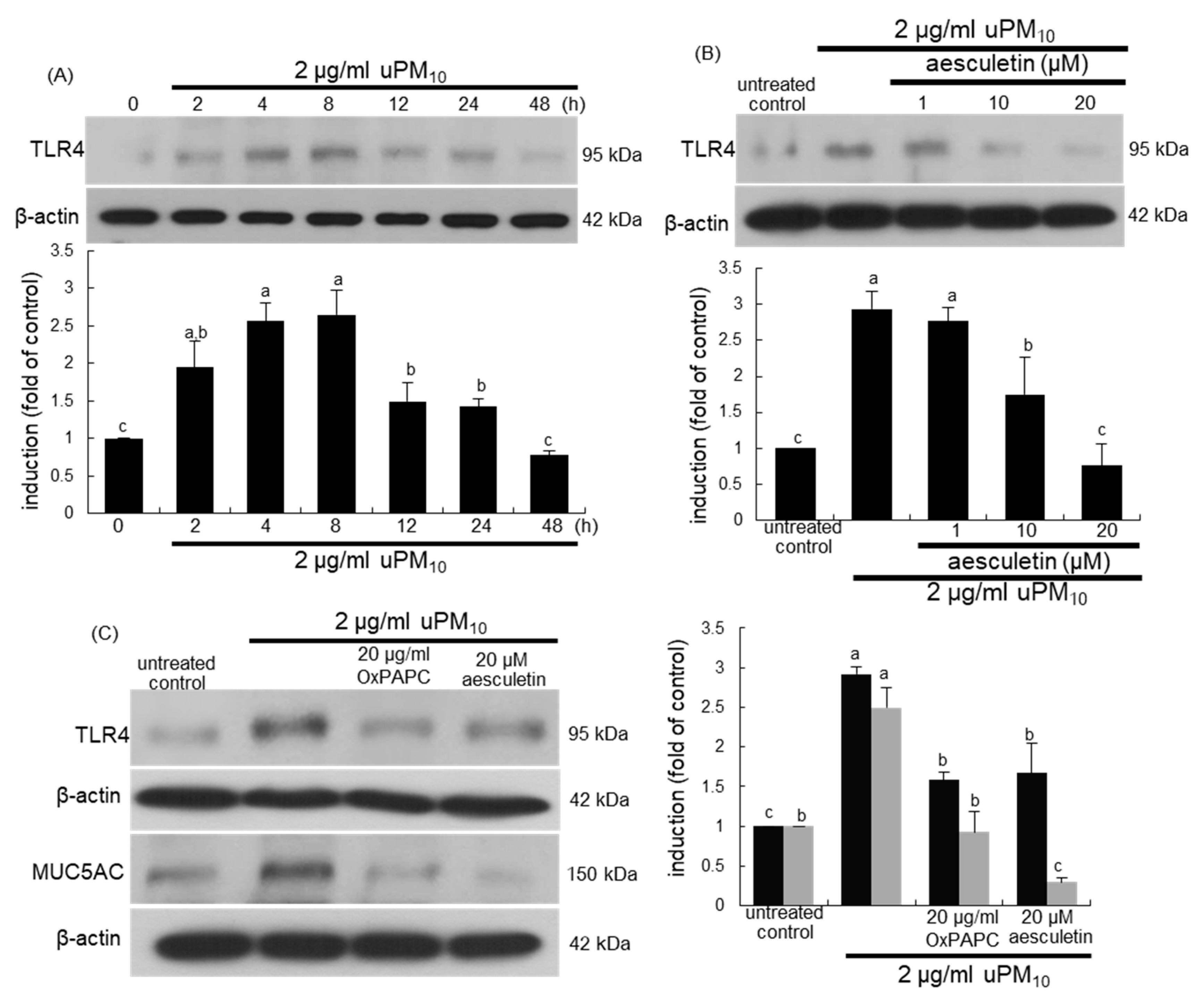 Antioxidants 10 00494 g005