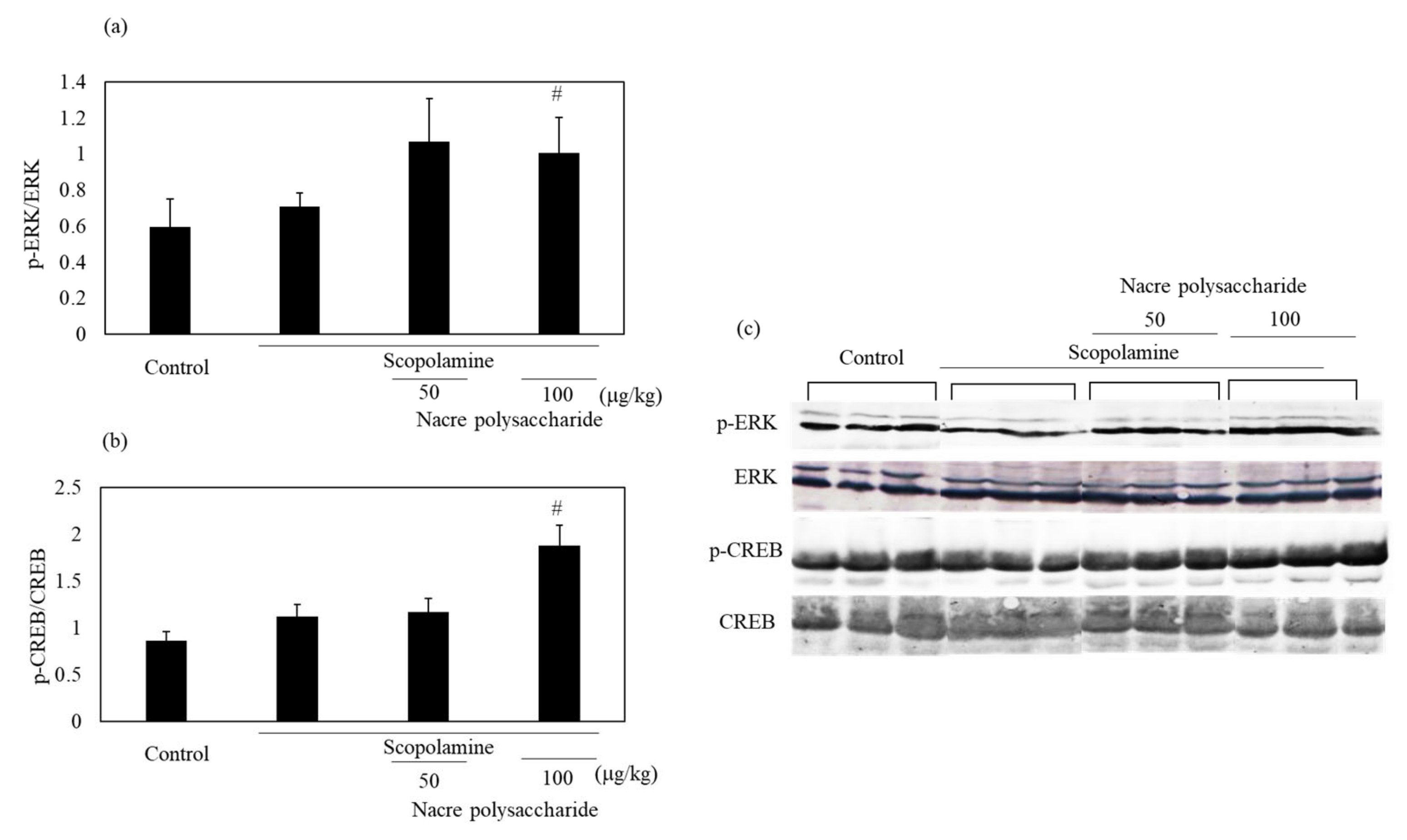 Antioxidants 10 00505 g009 Antioxidants 10 00505 g009