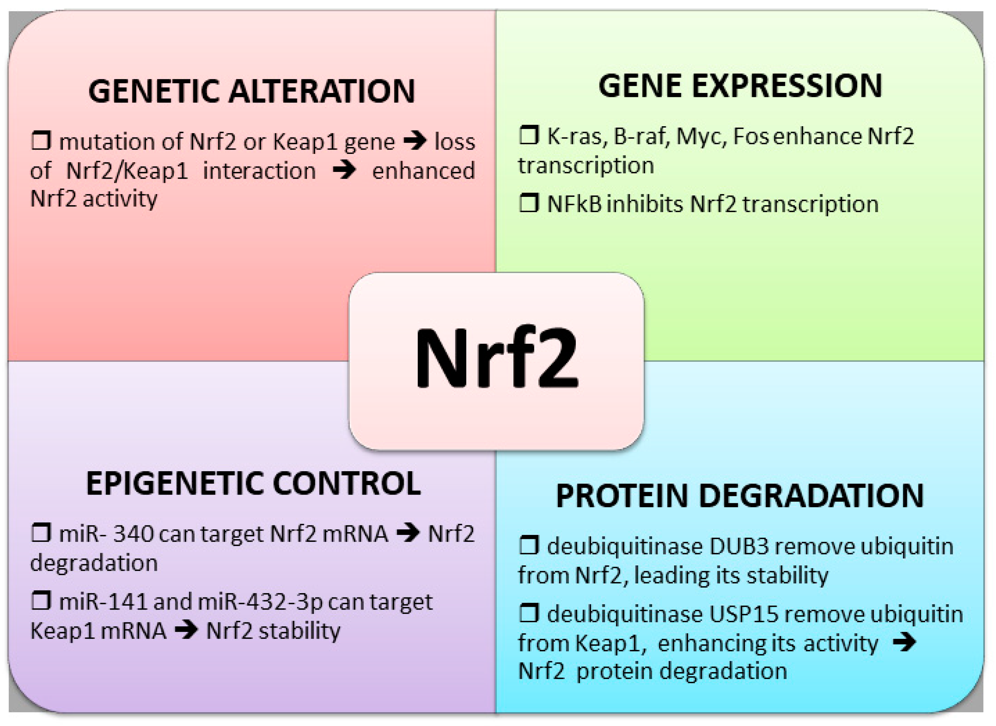 Antioxidants 10 00510 g003