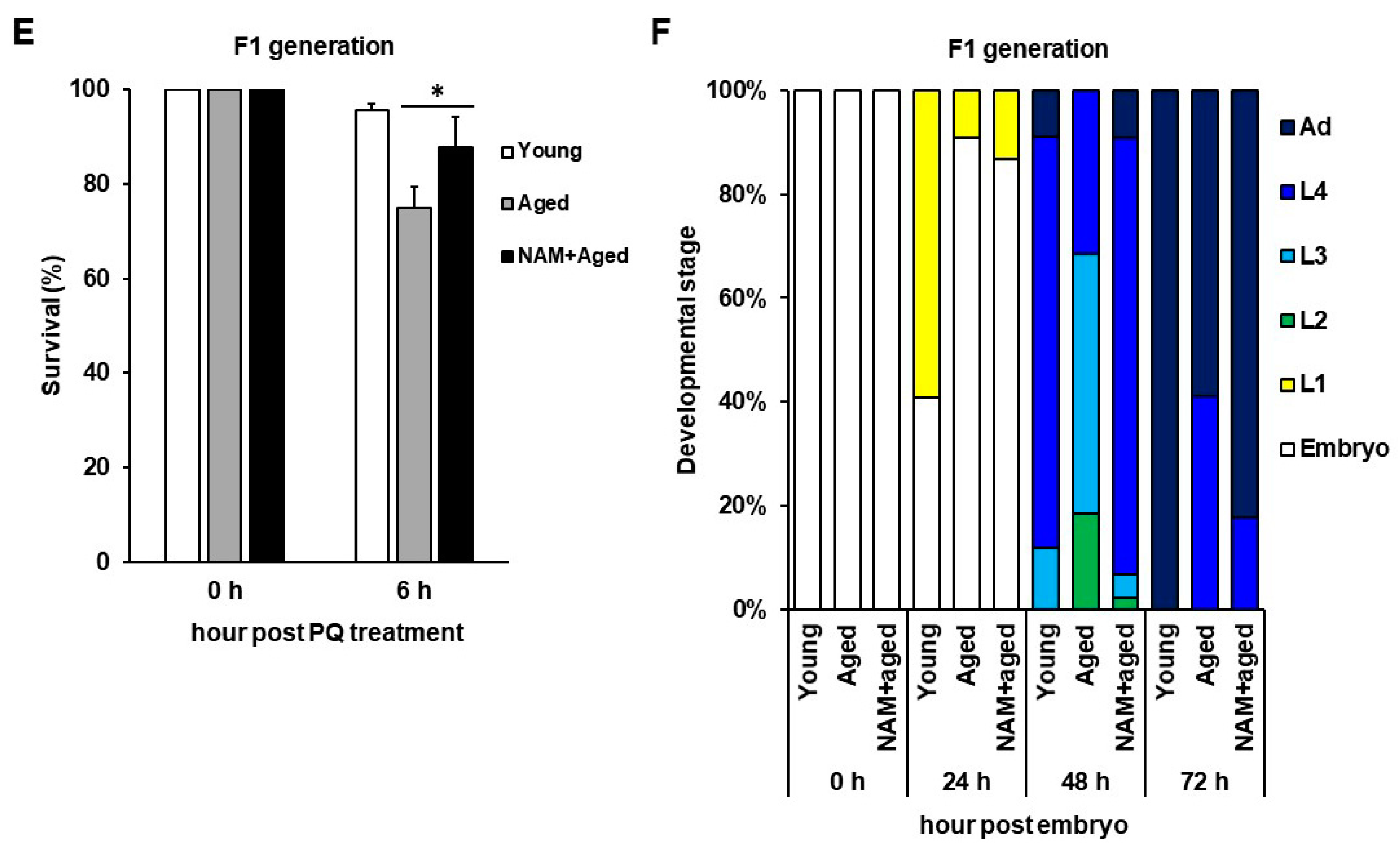Antioxidants 10 00519 g005b Antioxidants 10 00519 g005b