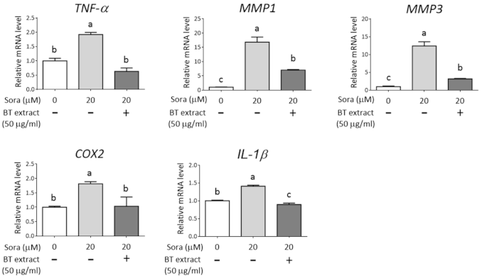 Antioxidants 10 00544 g006 Antioxidants 10 00544 g006