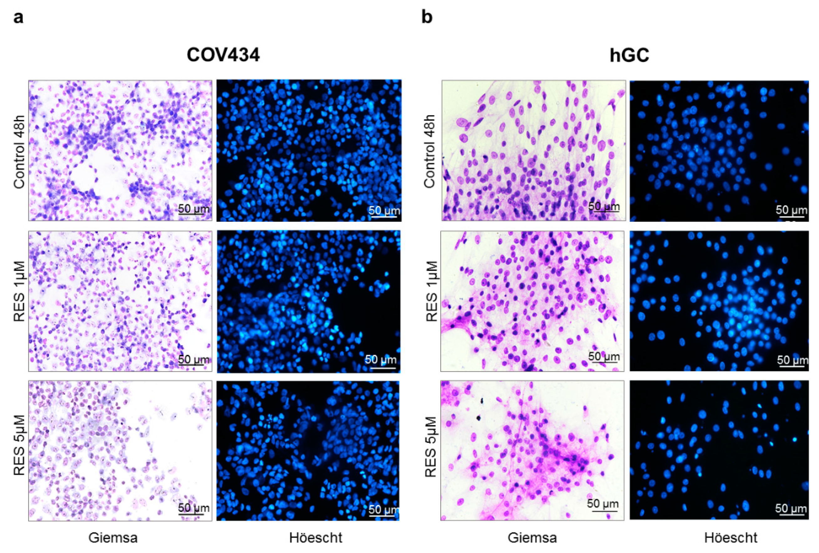 Antioxidants 10 00561 g002 Antioxidants 10 00561 g002