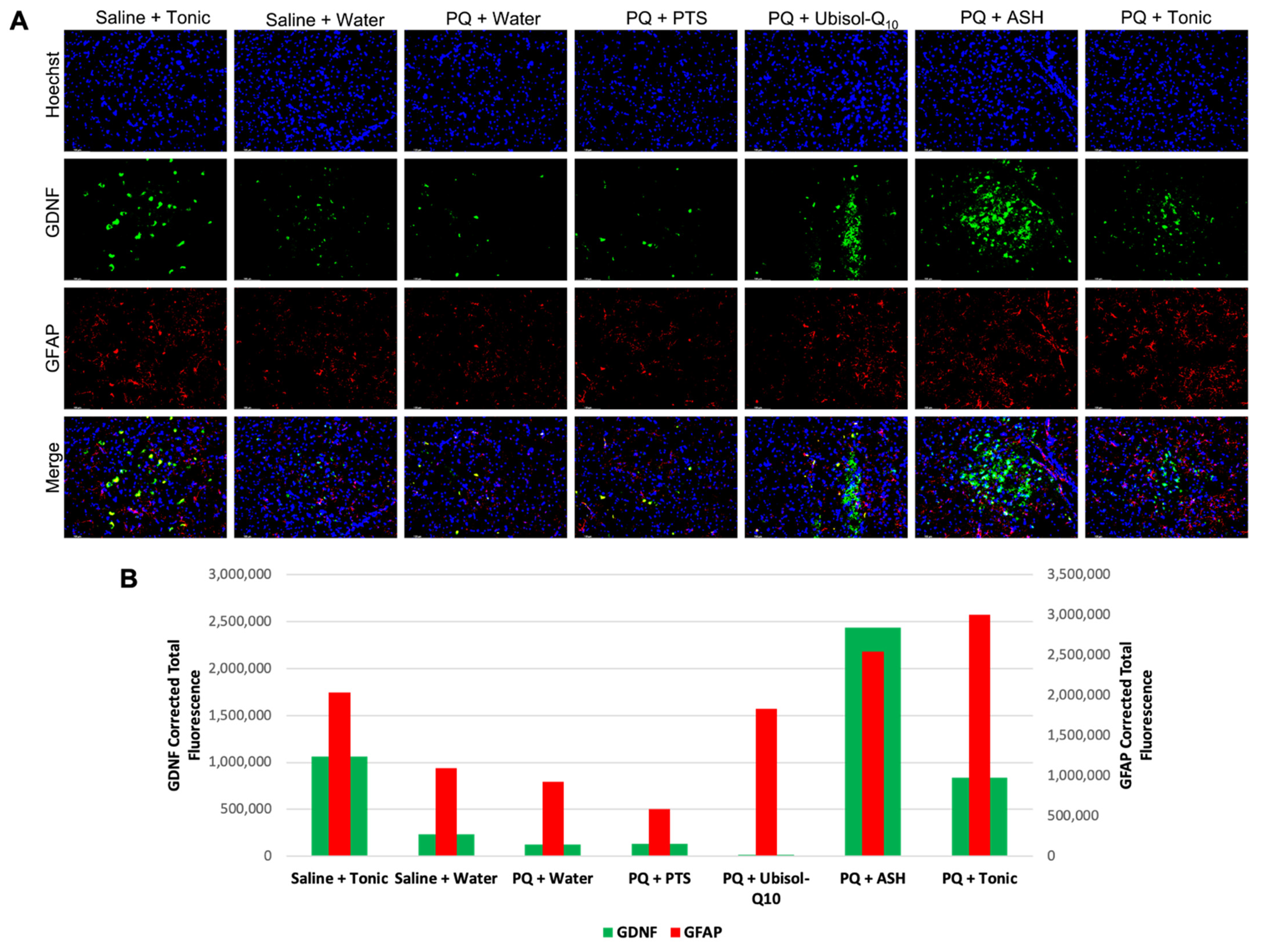 Antioxidants 10 00563 g007 Antioxidants 10 00563 g007