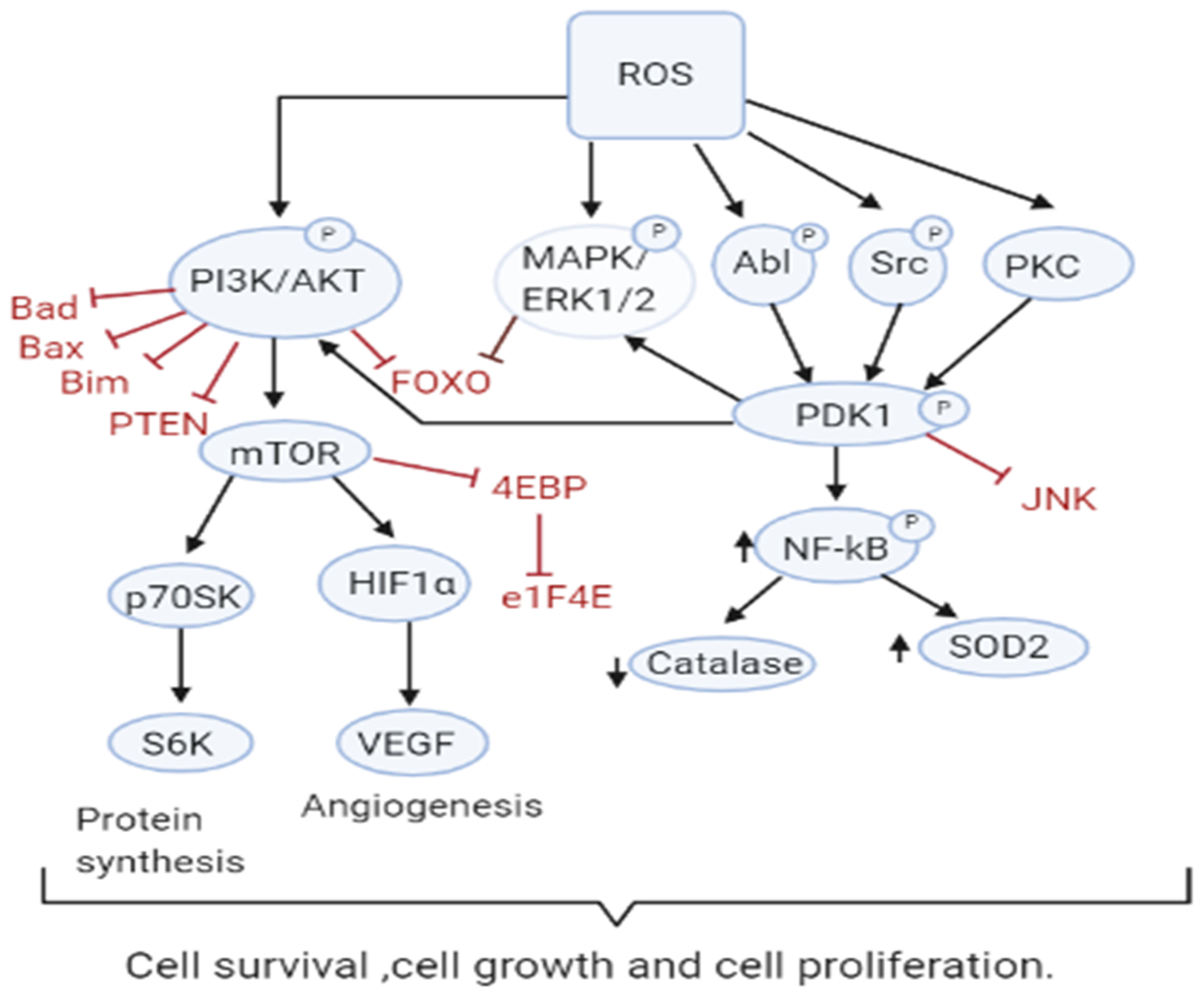 Antioxidants 10 00642 g002