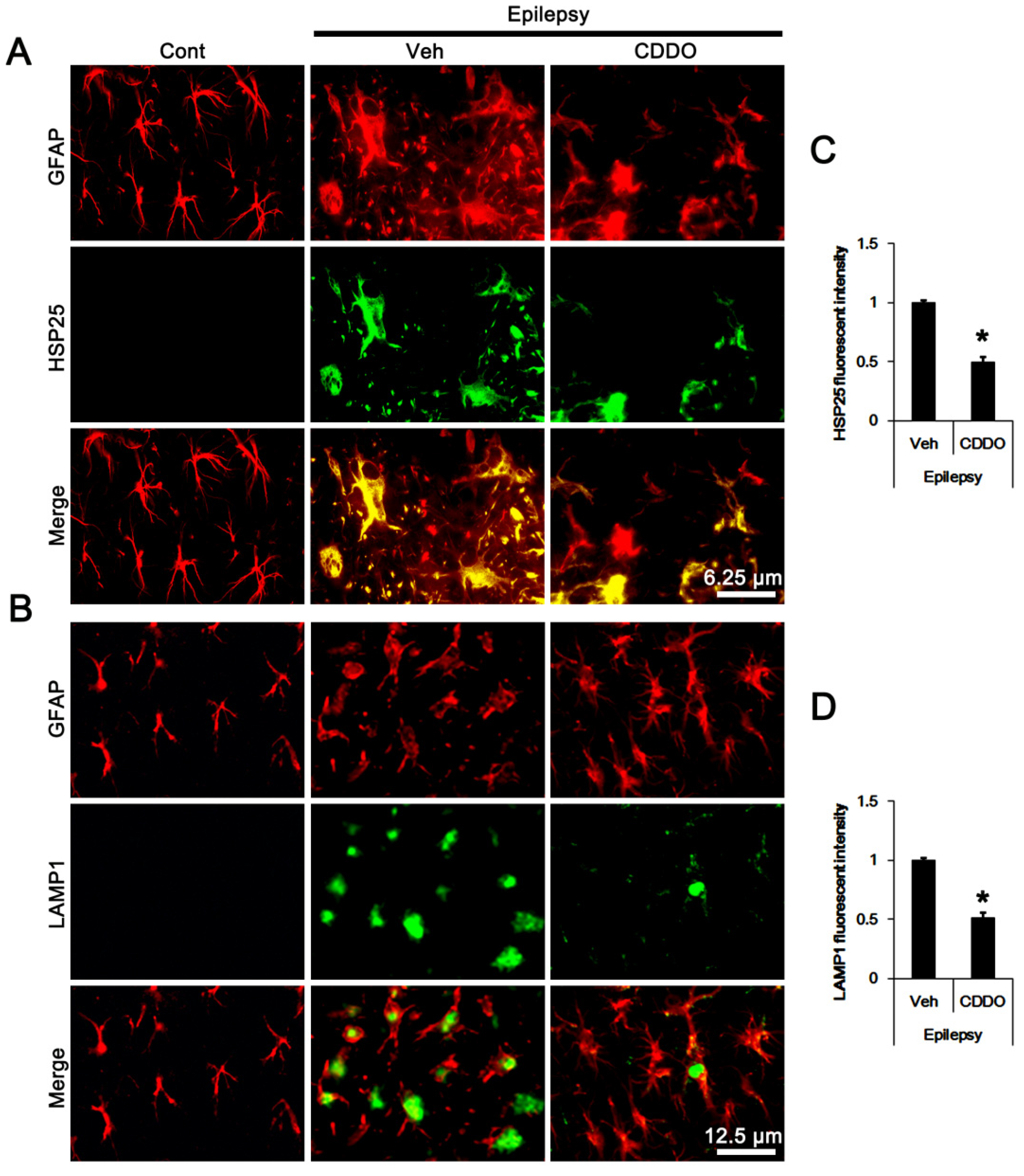 Antioxidants 10 00655 g002 Antioxidants 10 00655 g002