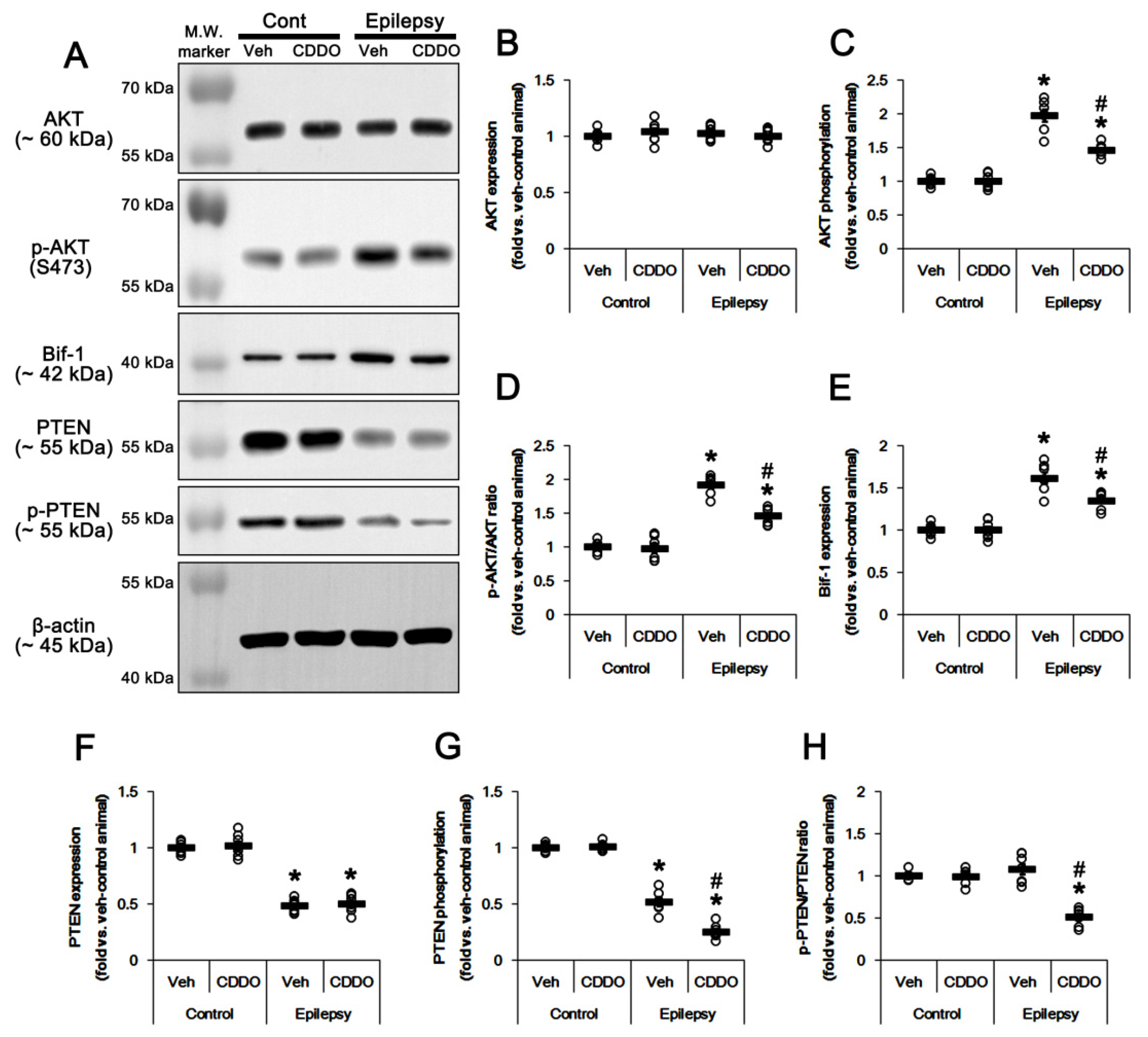 Antioxidants 10 00655 g004 Antioxidants 10 00655 g004