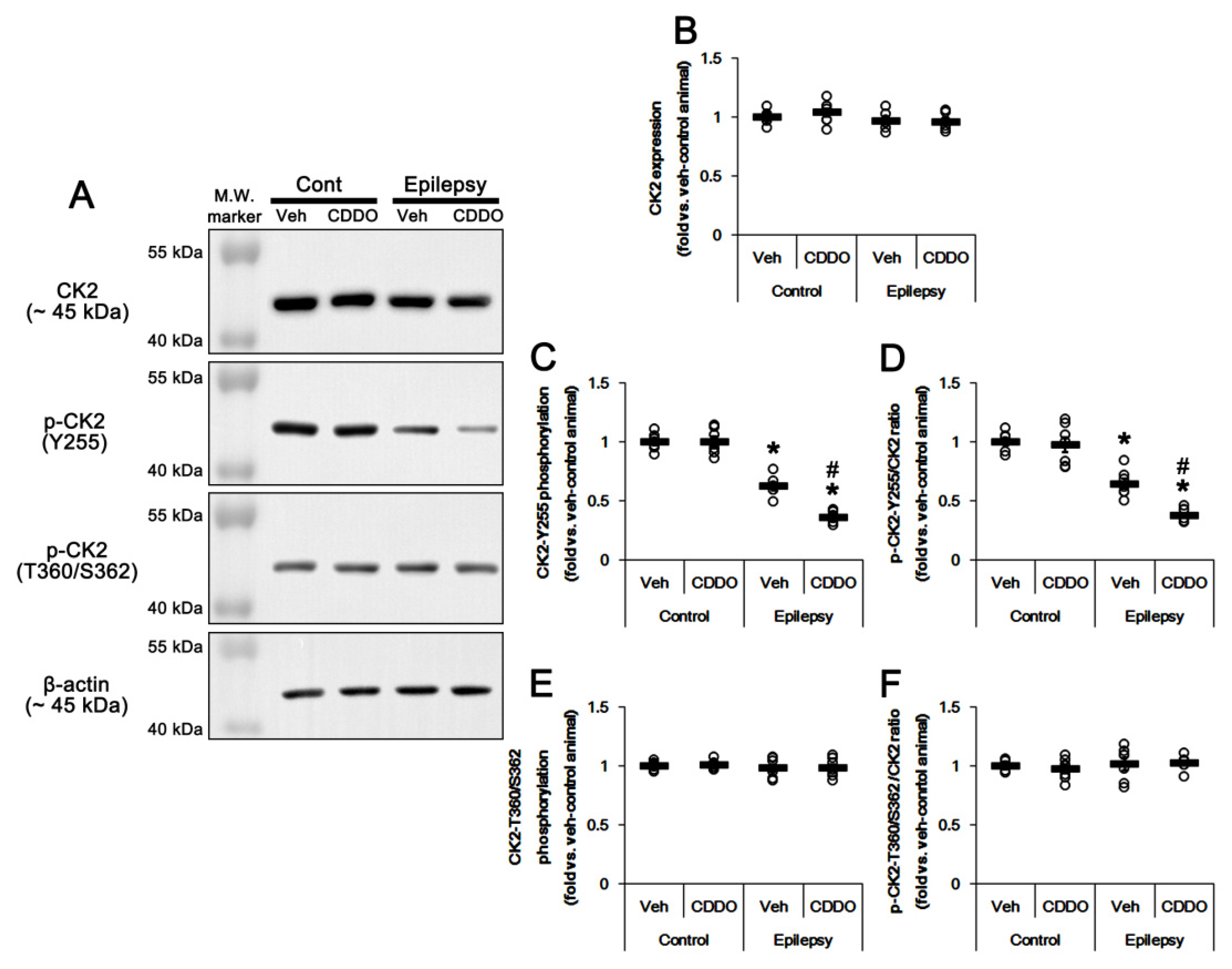 Antioxidants 10 00655 g005 Antioxidants 10 00655 g005