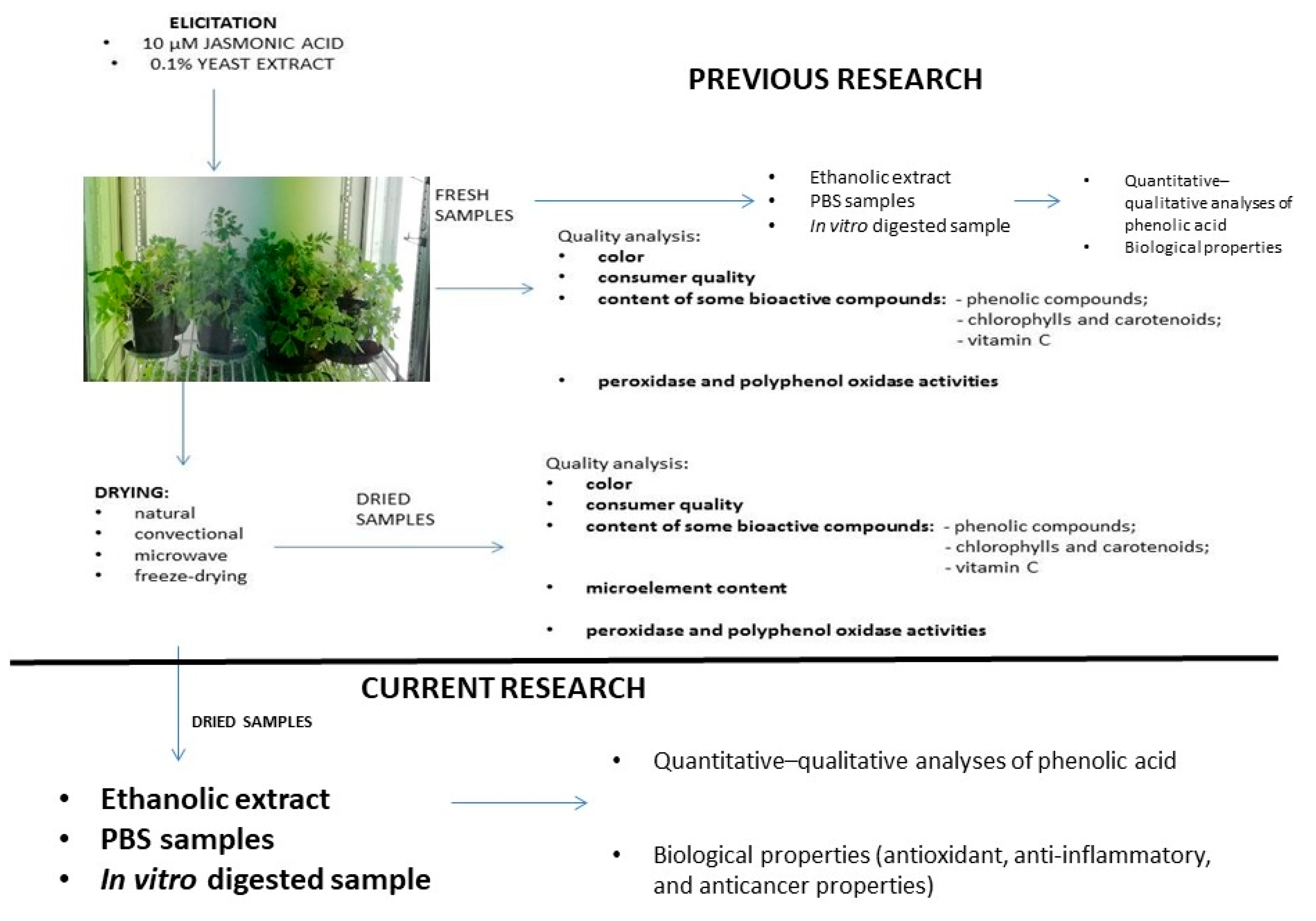 https://www.mdpi.com/antioxidants/antioxidants-10-00662/article_deploy/html/images/antioxidants-10-00662-g001.png