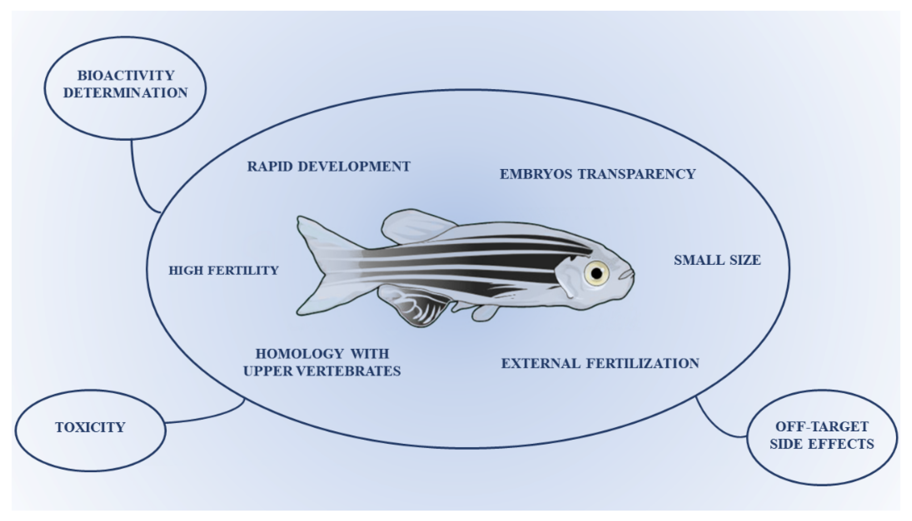 Antioxidants Free Full Text Zebrafish As A Useful Model To Study Oxidative Stress Linked Disorders Focus On Flavonoids Html