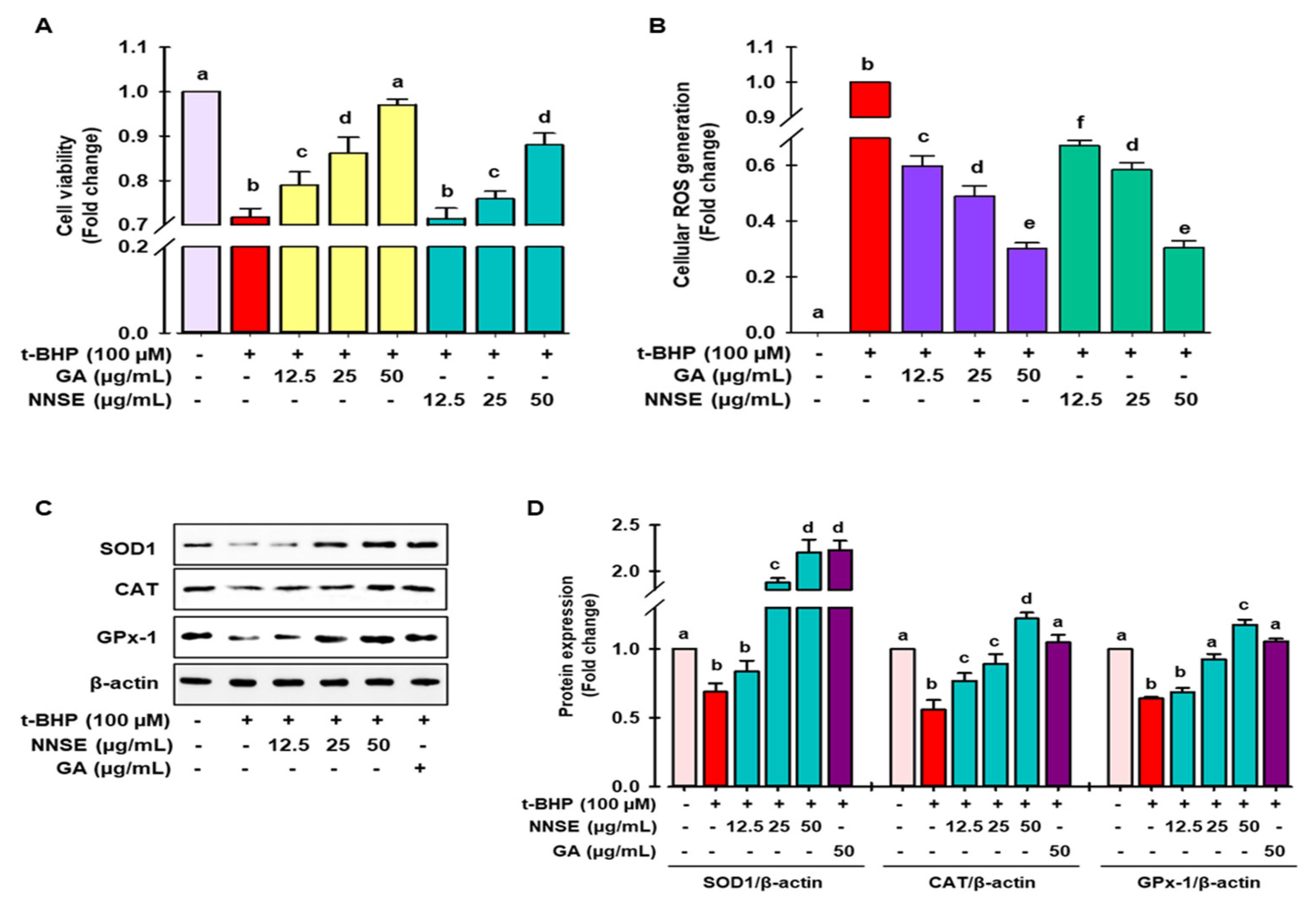 Antioxidants 10 00719 g005