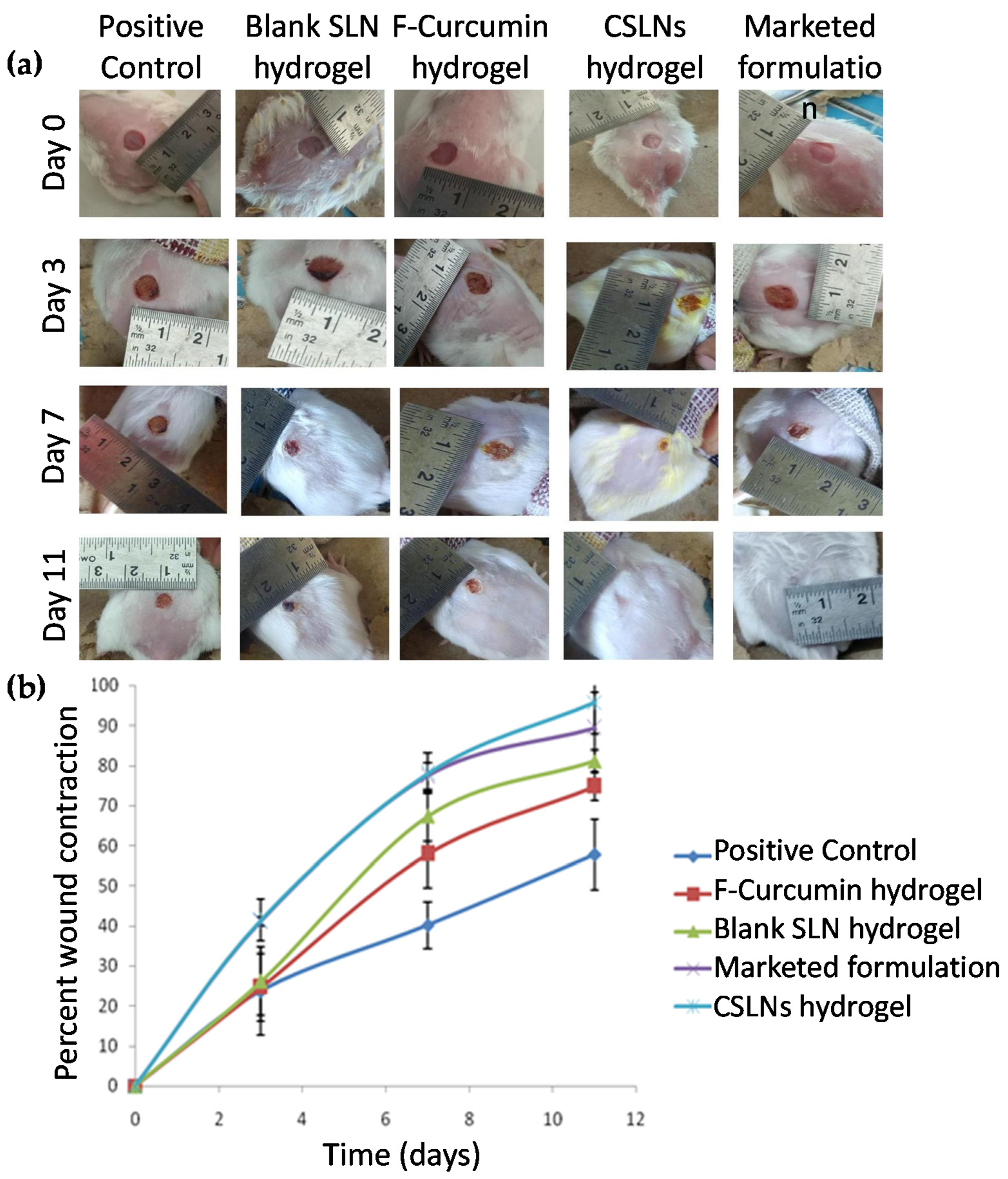 Antioxidants 10 00725 g007 Antioxidants 10 00725 g007
