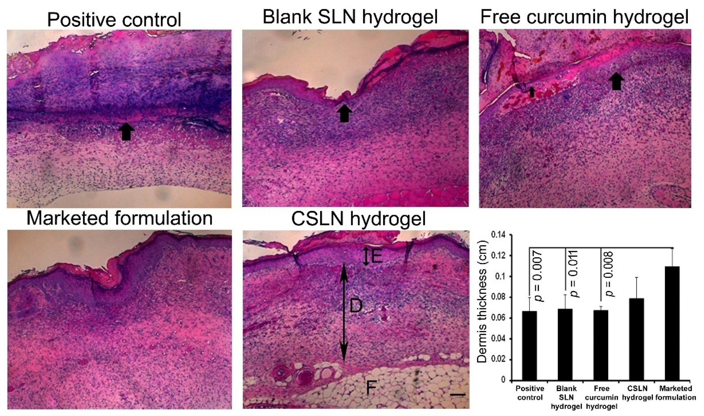 Antioxidants 10 00725 g010 Antioxidants 10 00725 g010